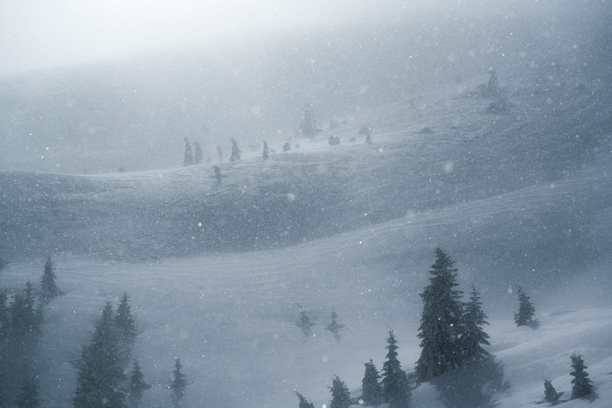 Early-November Pacific System: 117cm for Alyeska Resort, 2–9 Nov