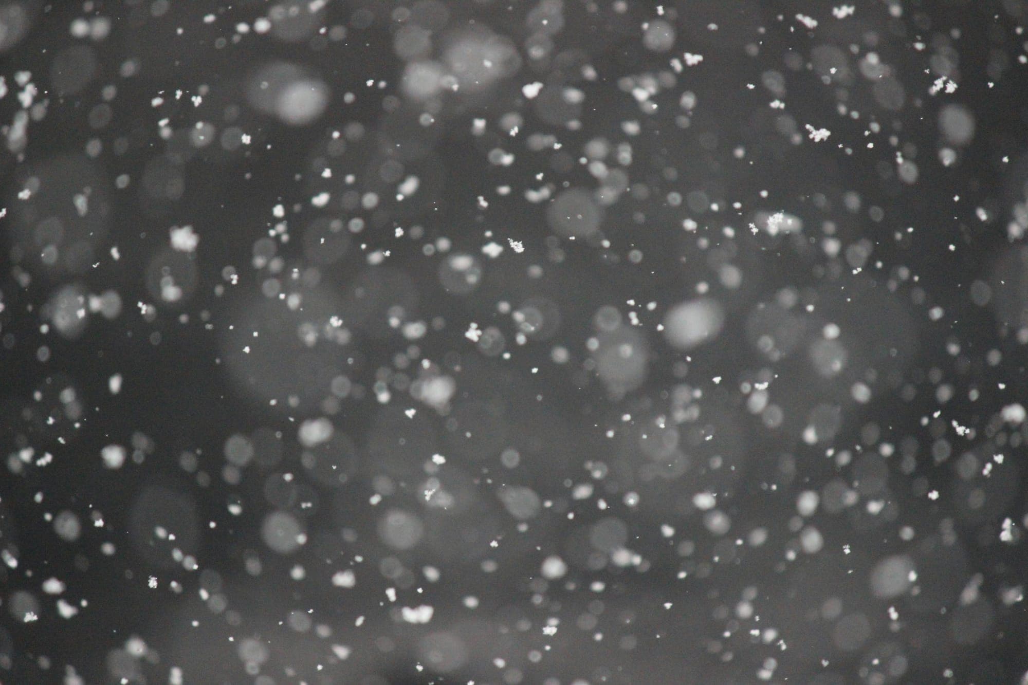 Late-October Pacific System: 33cm for Alta, 31 Oct – 3 Nov