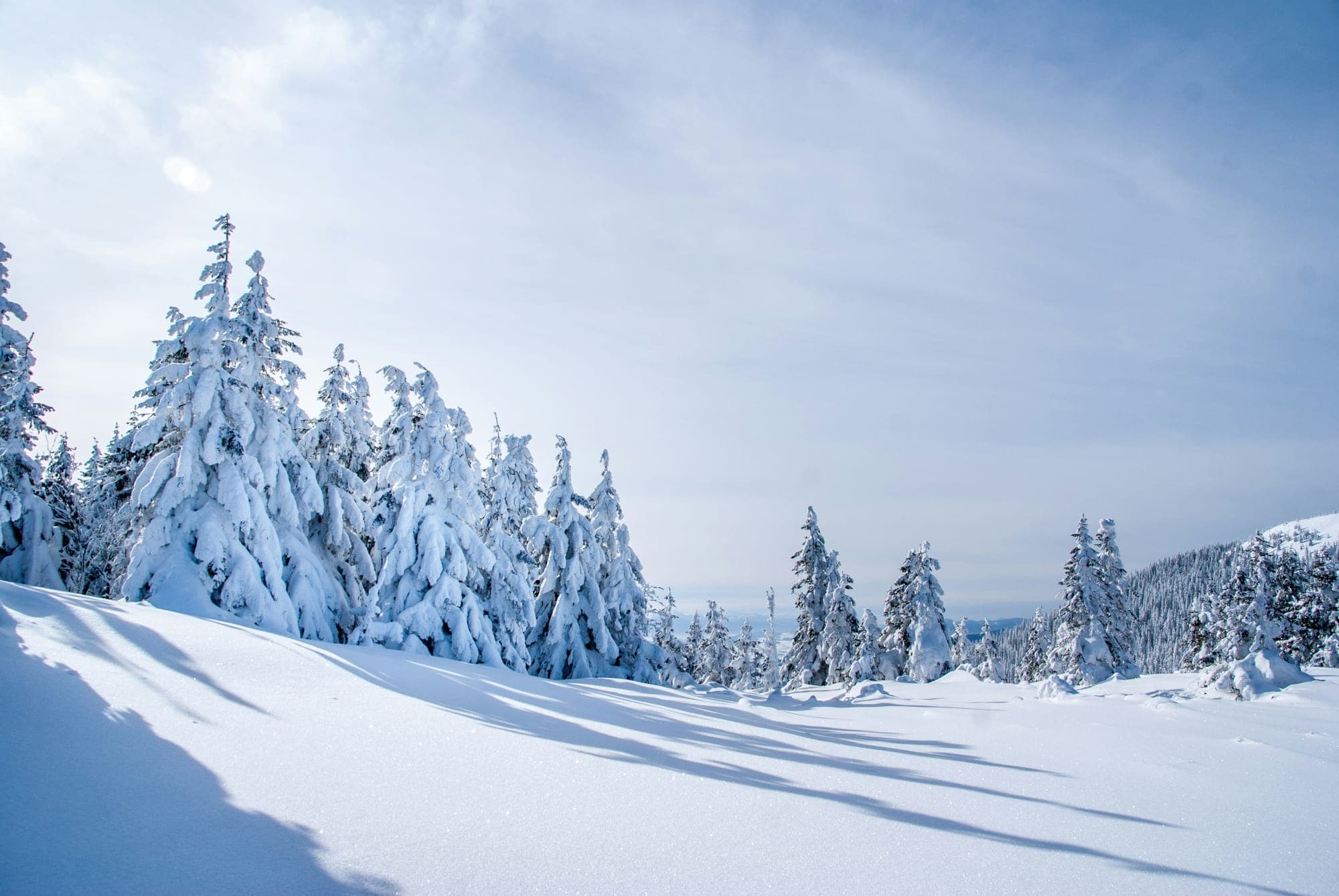 Early-November North Atlantic System: 65cm for Narvik, 4–9 Nov