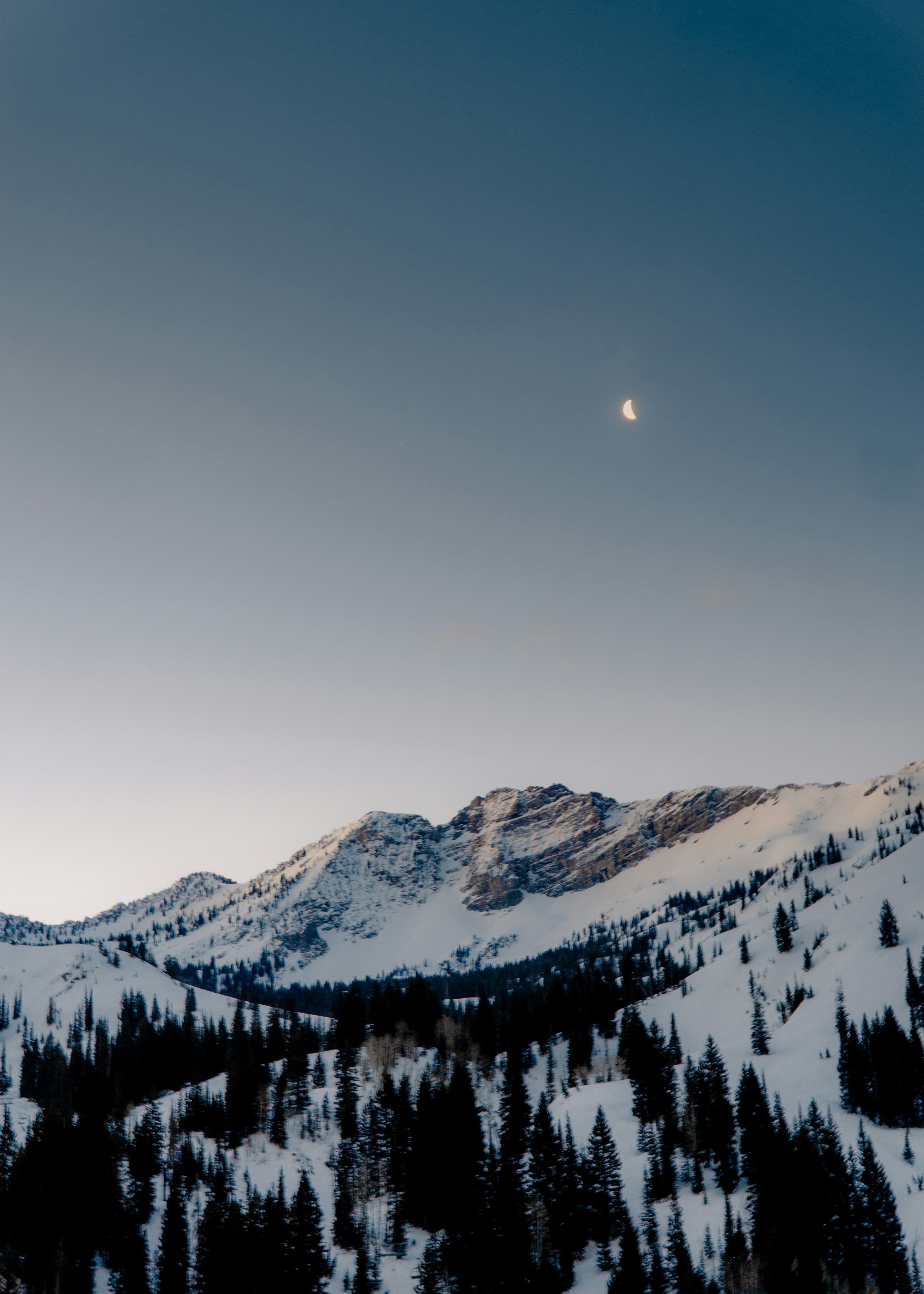 Alta photo 4