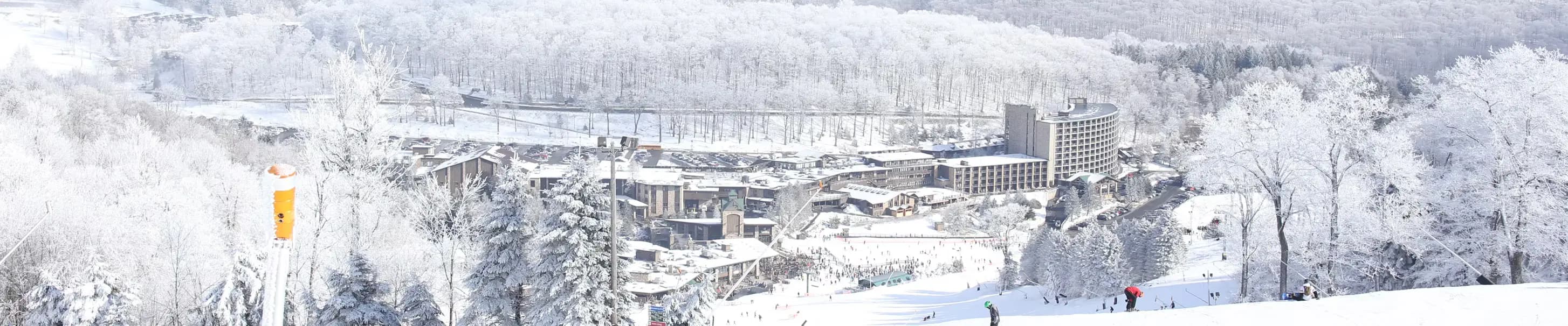 Seven Springs