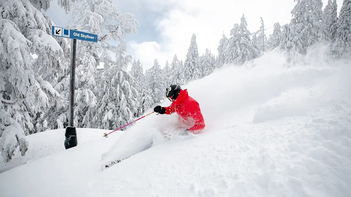 Mt. Bachelor photo 4