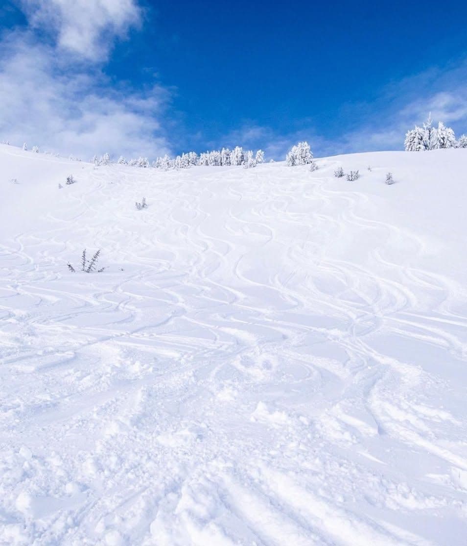 Soldier Mountain Ski Area