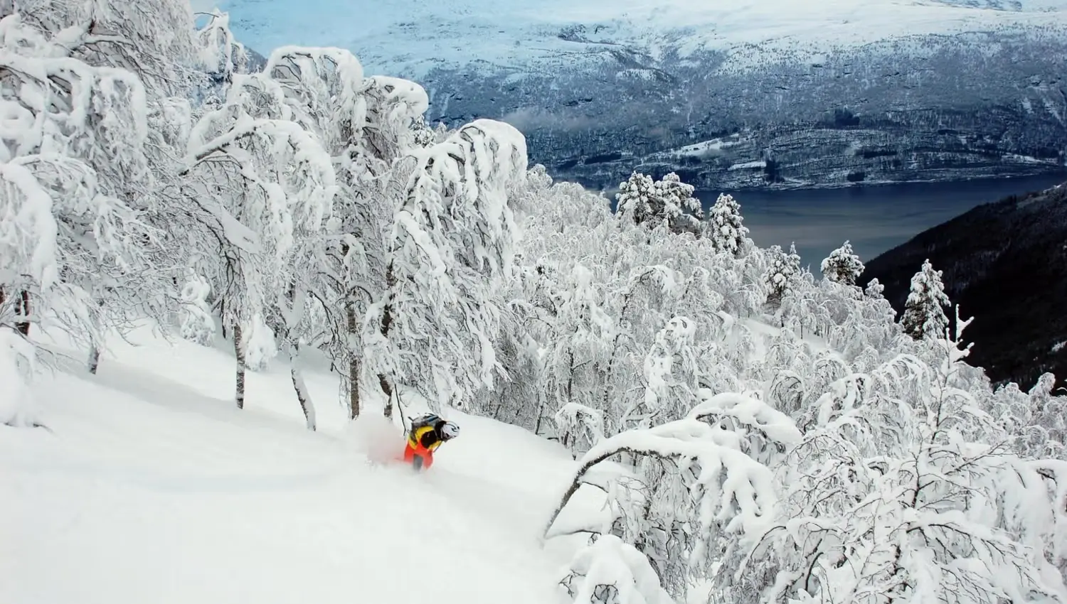 Stryn