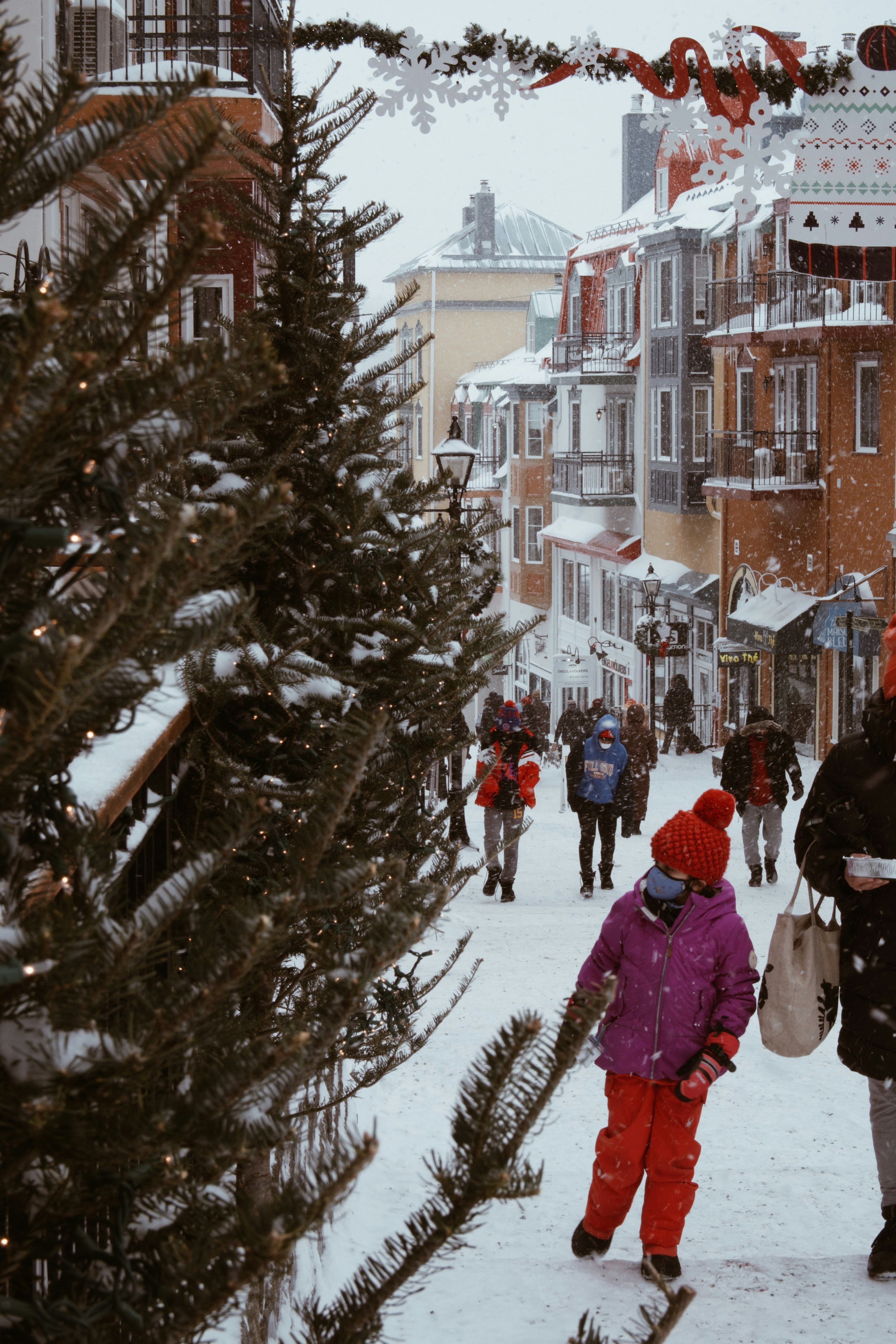 Mont Tremblant Resort photo 4