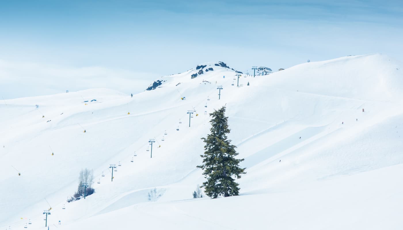 Sun Valley photo 5