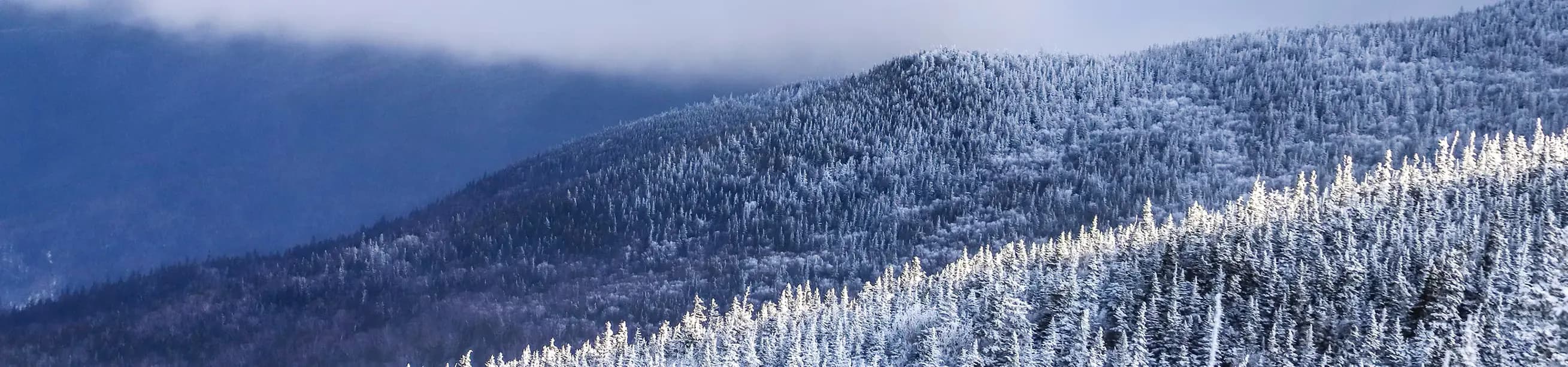 Wildcat Mountain