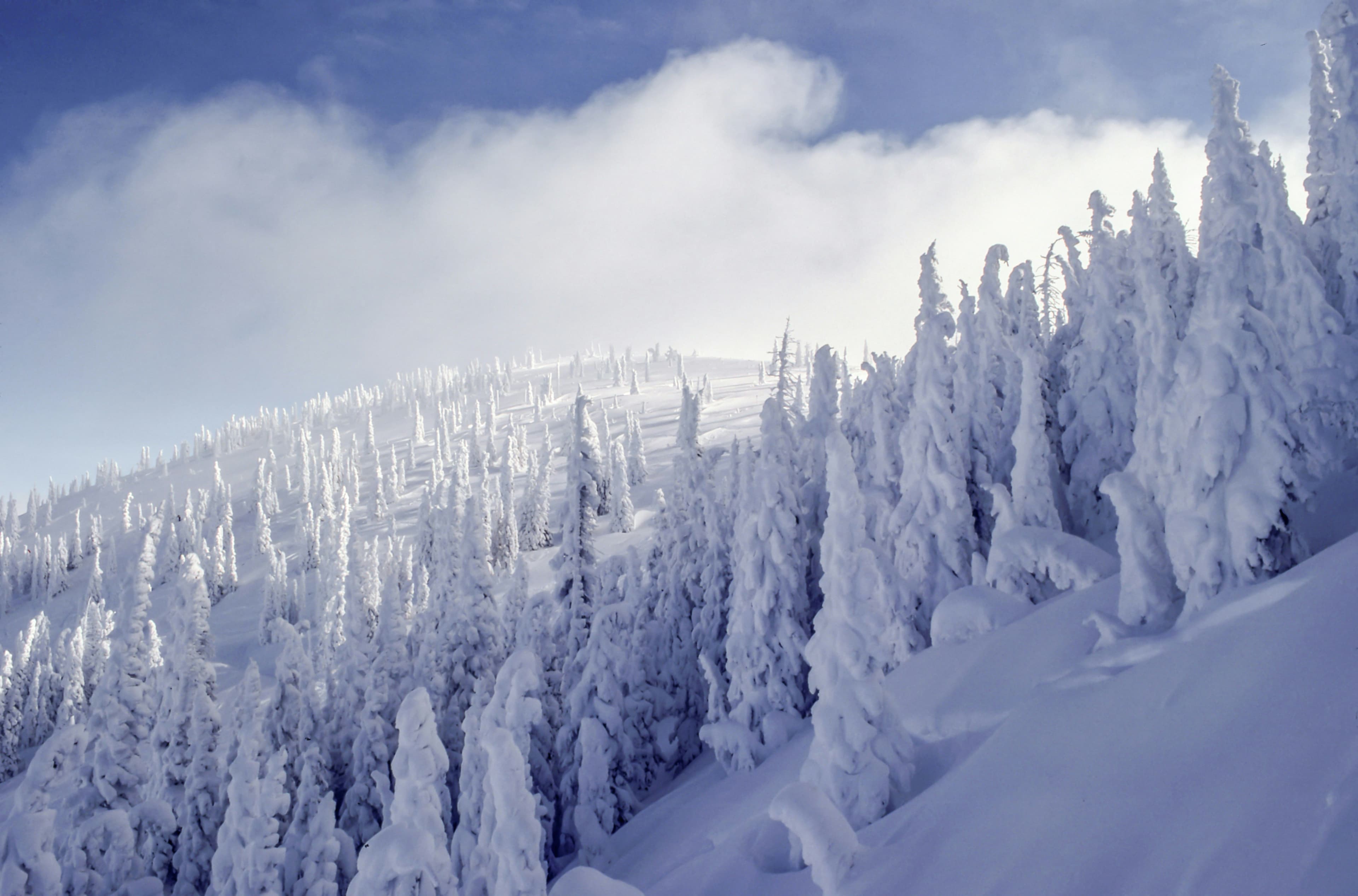 Steamboat Ski Resort photo 8