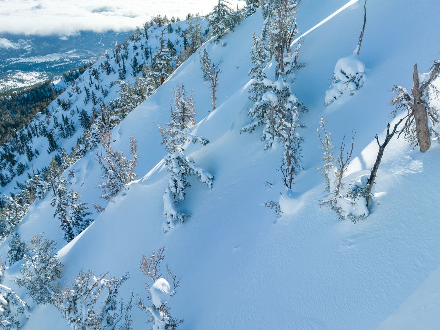 Mt. Rose photo 8
