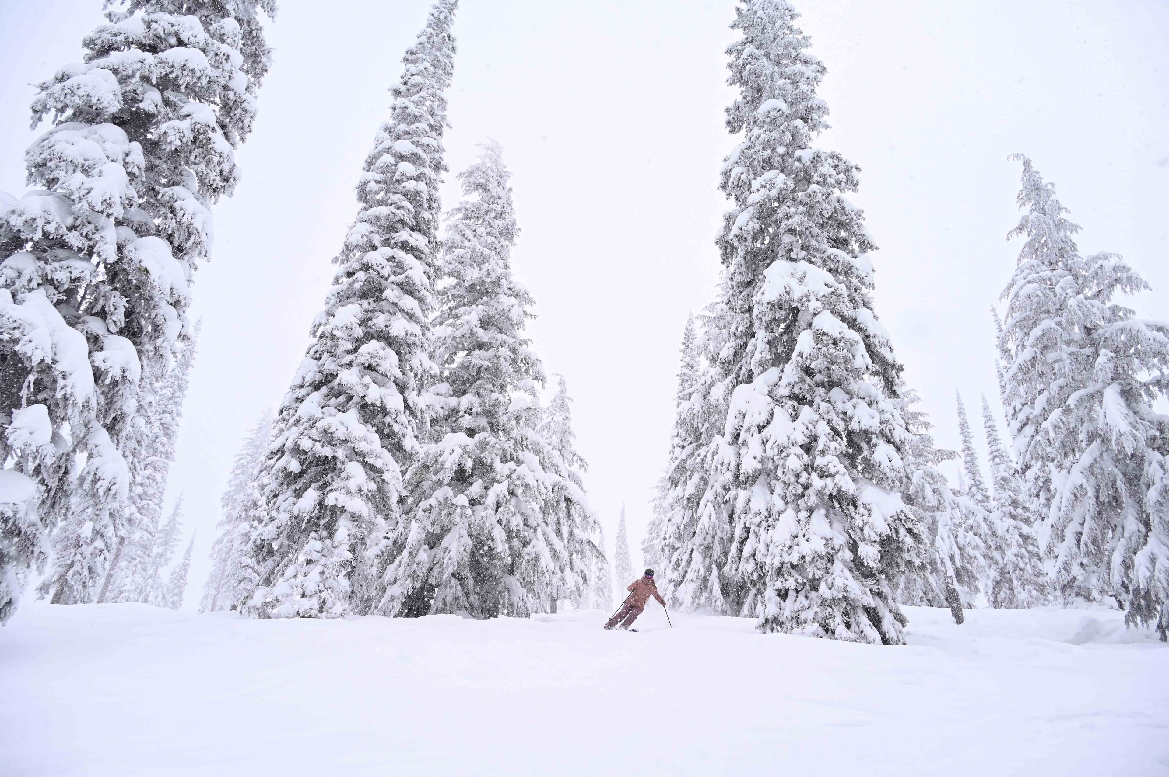 Schweitzer Mountain photo 4