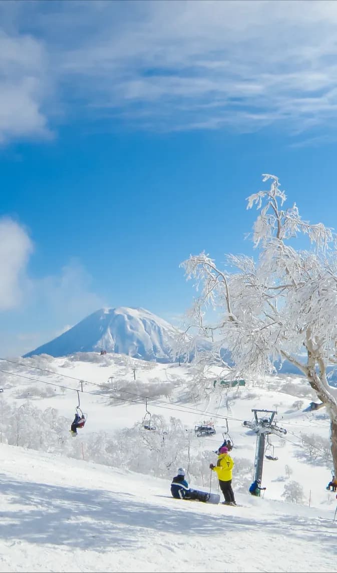 Niseko Annupuri photo 8
