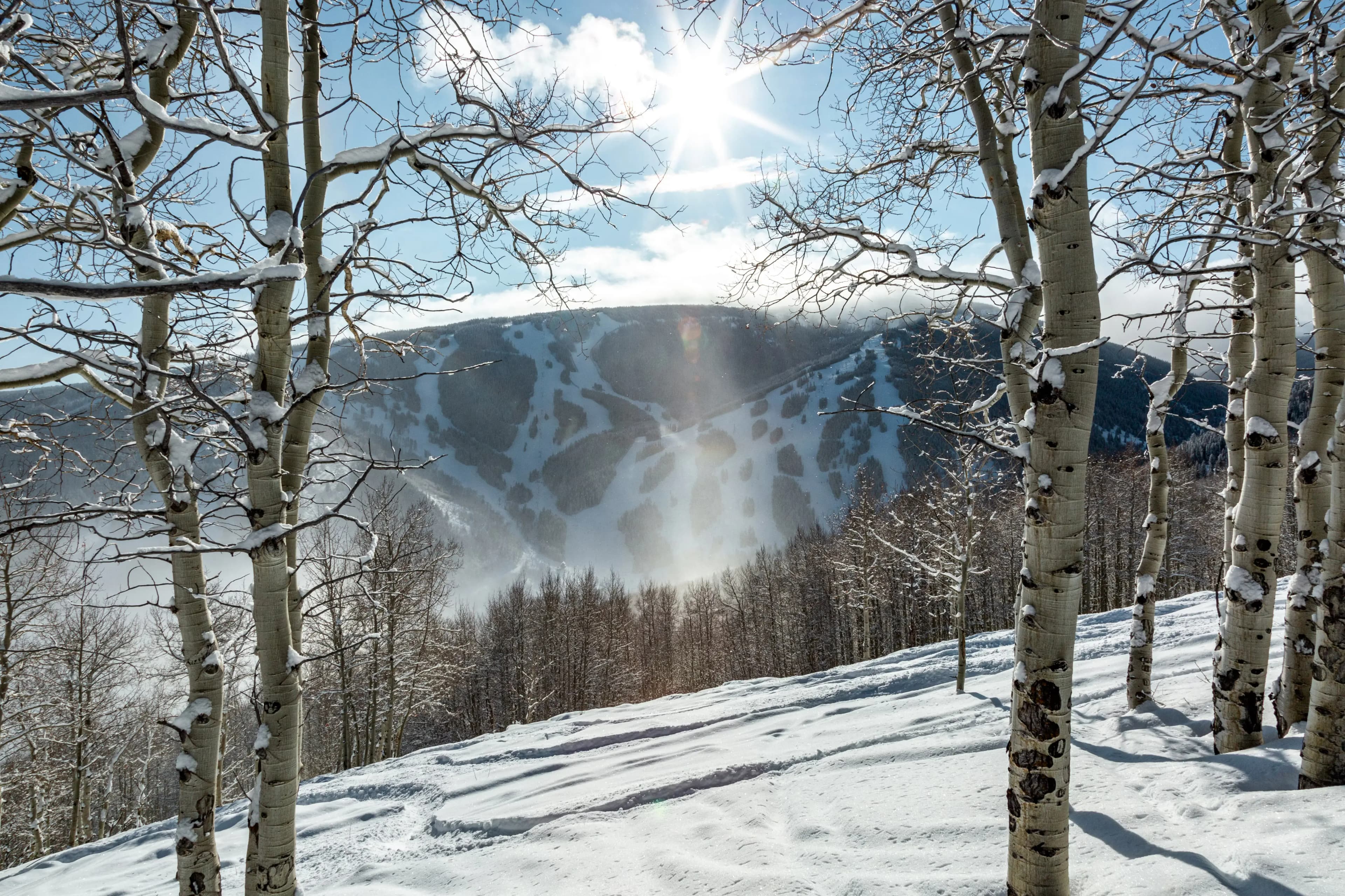 Beaver Creek photo 5