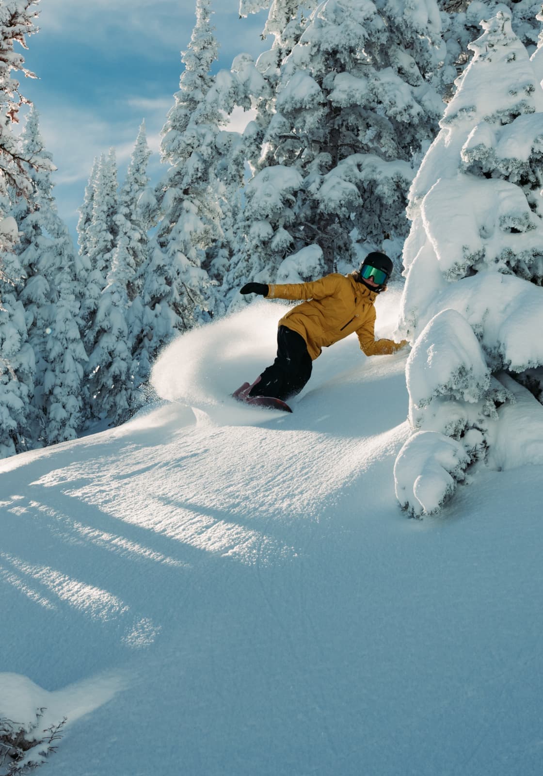 Snowbasin photo 10