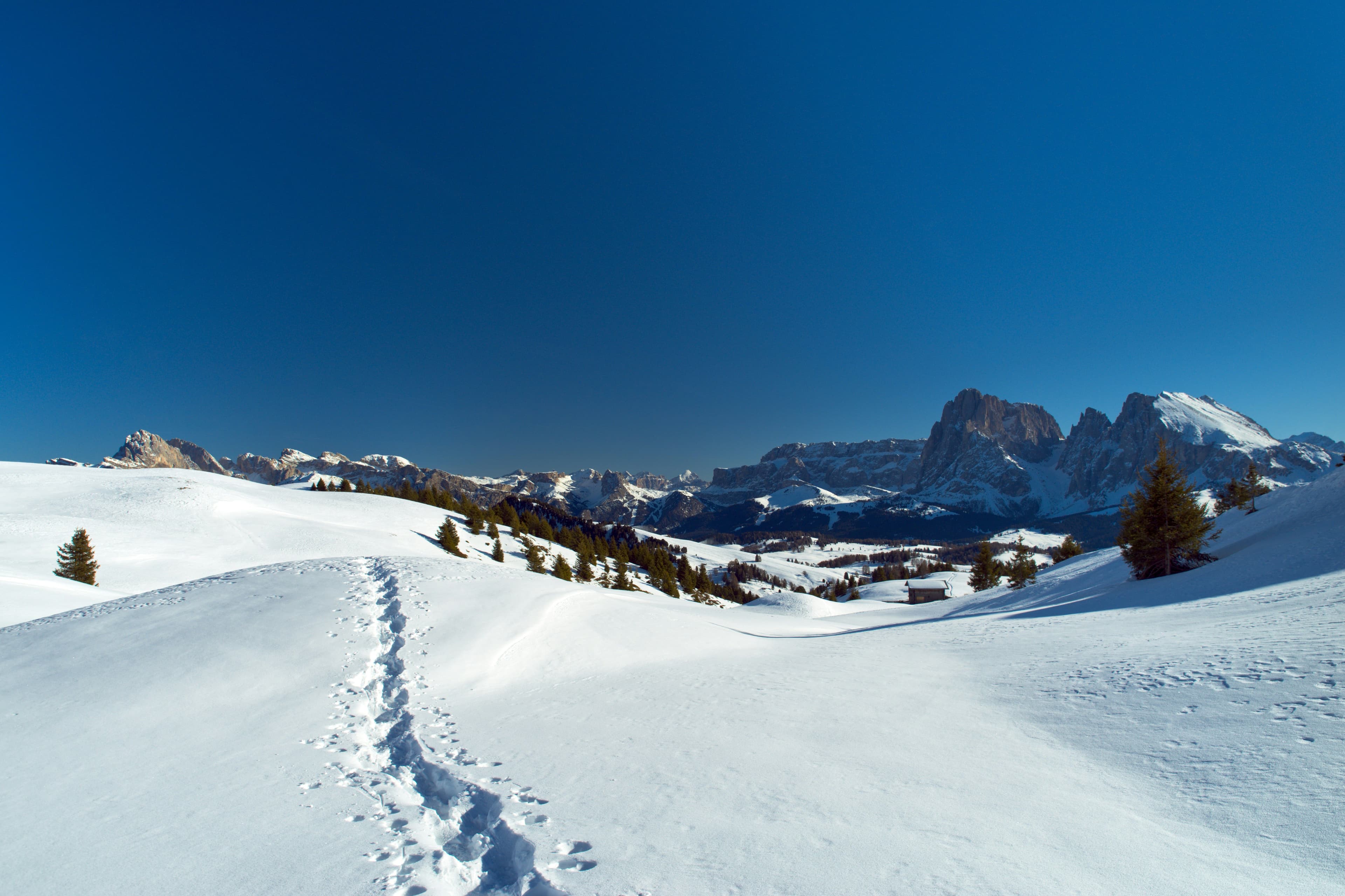 Alpe di Siusi photo 6