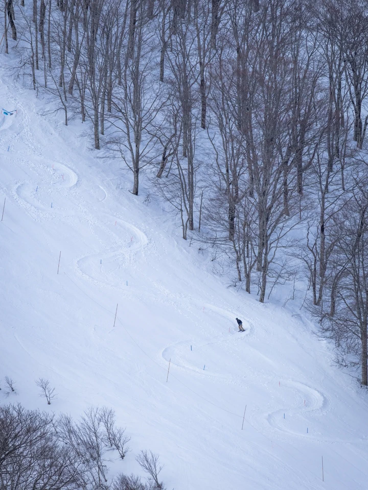 NEKOMA Mountain