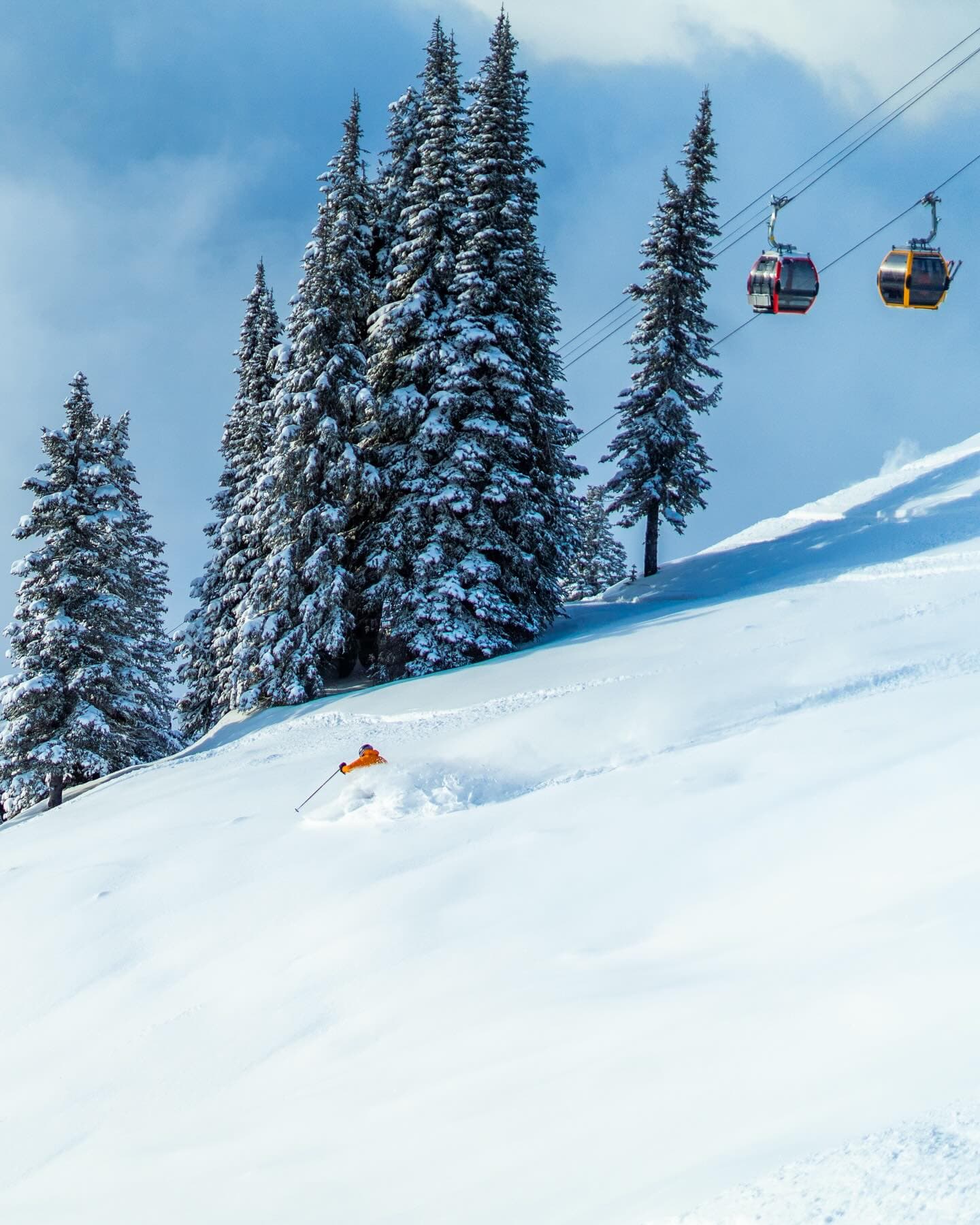 SilverStar photo 6