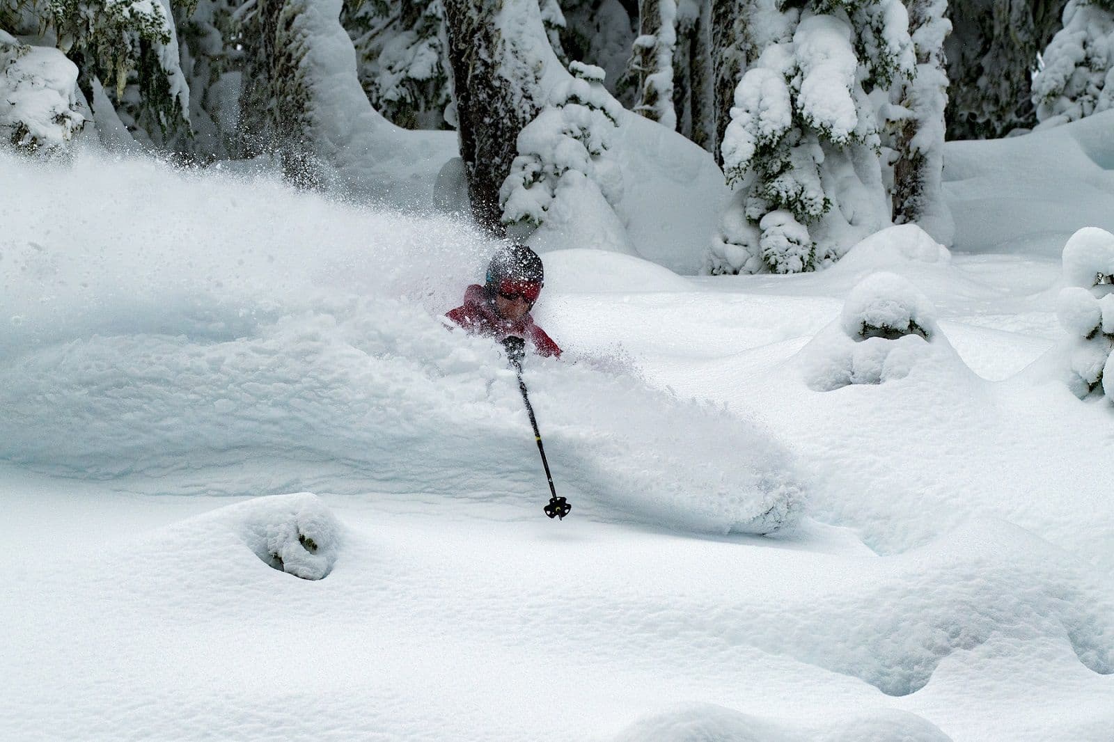 White Pass photo 3