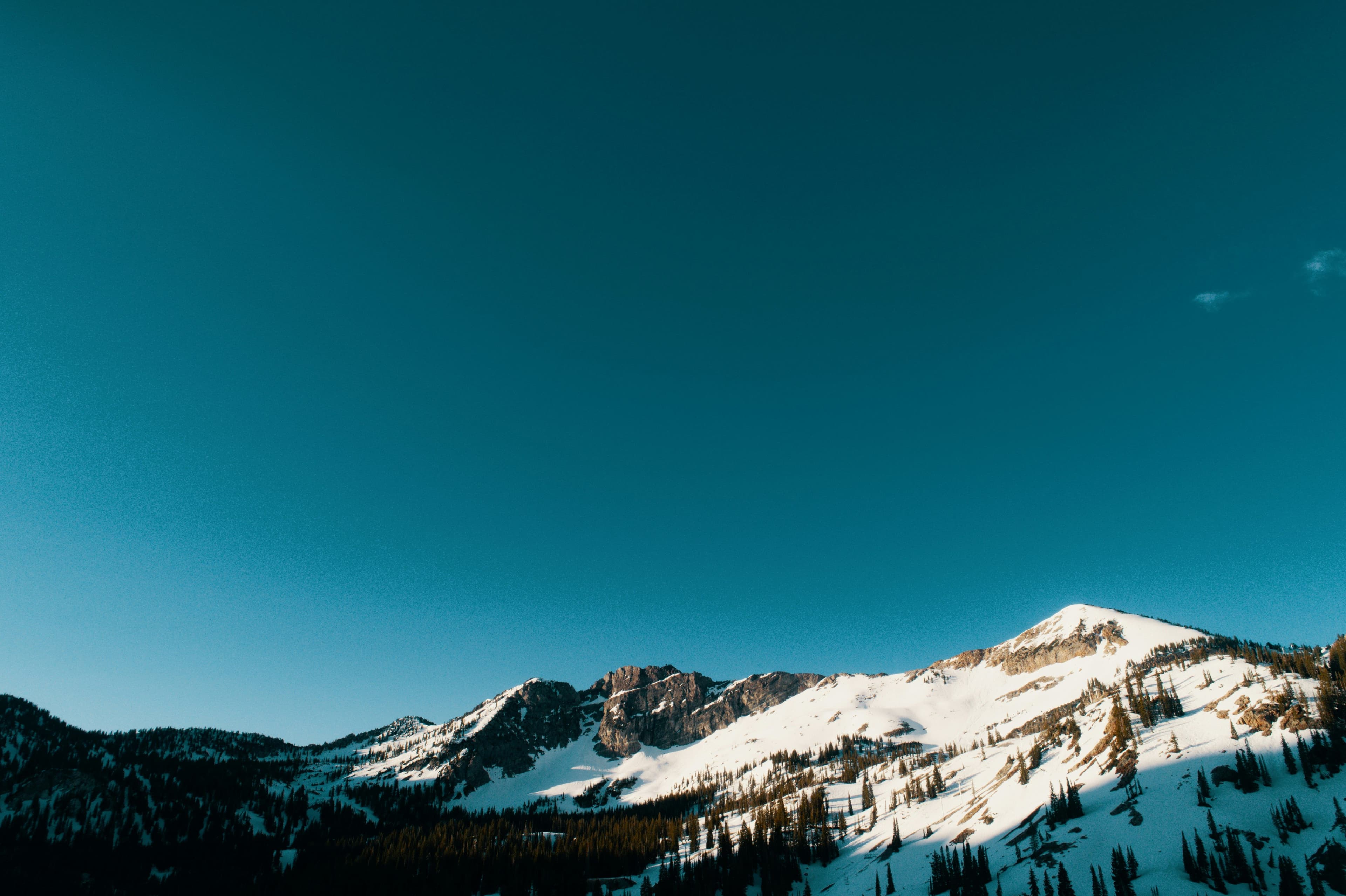 Alta