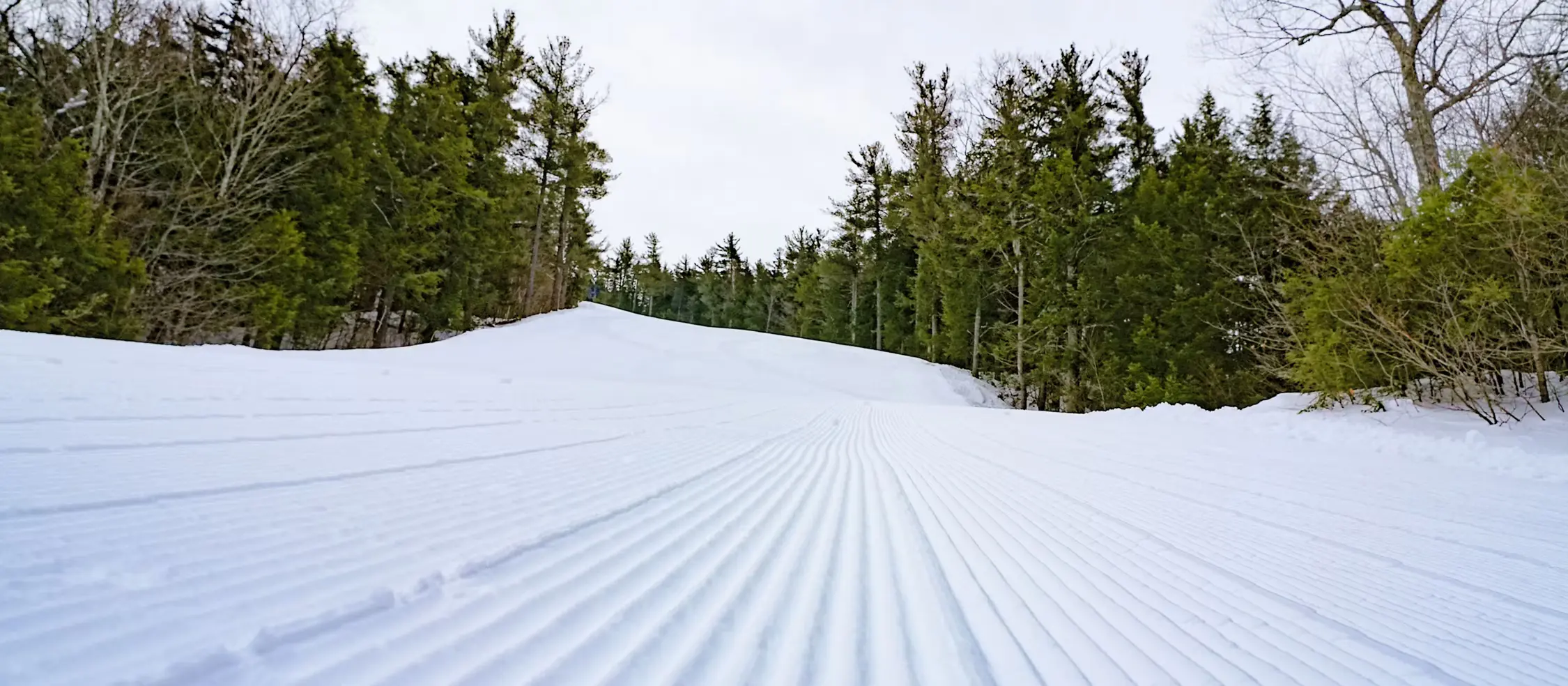 Wildcat Mountain photo 3