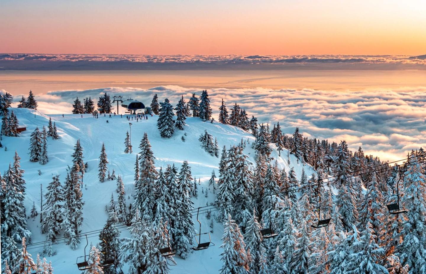 Mt. Seymour photo 4