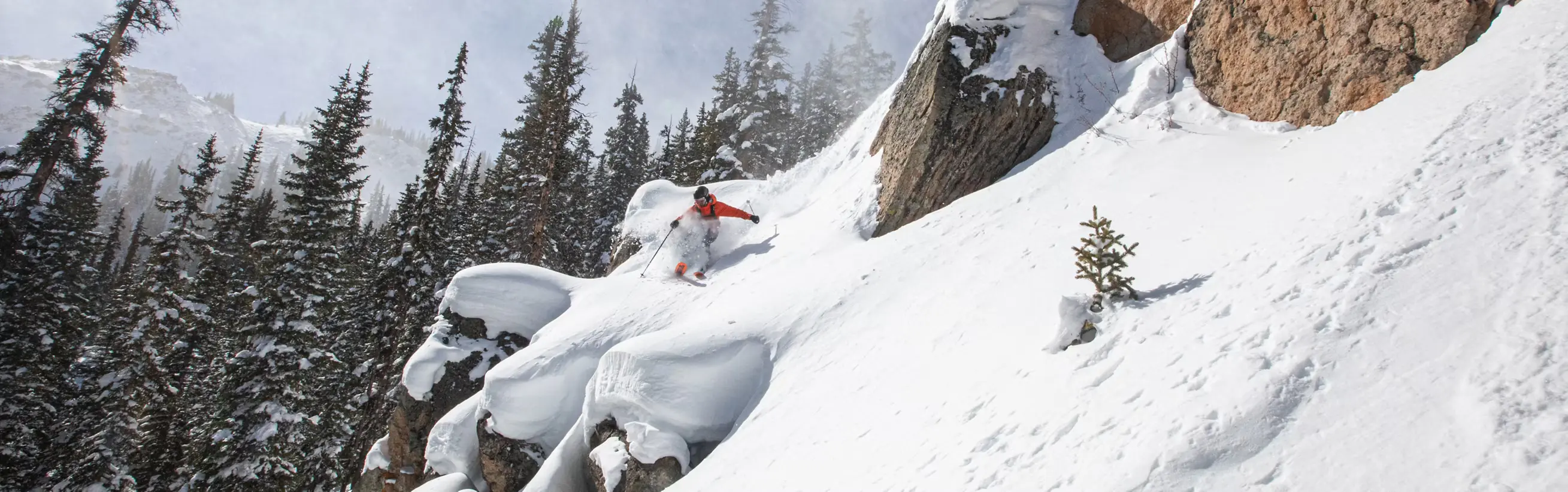 Crested Butte photo 14