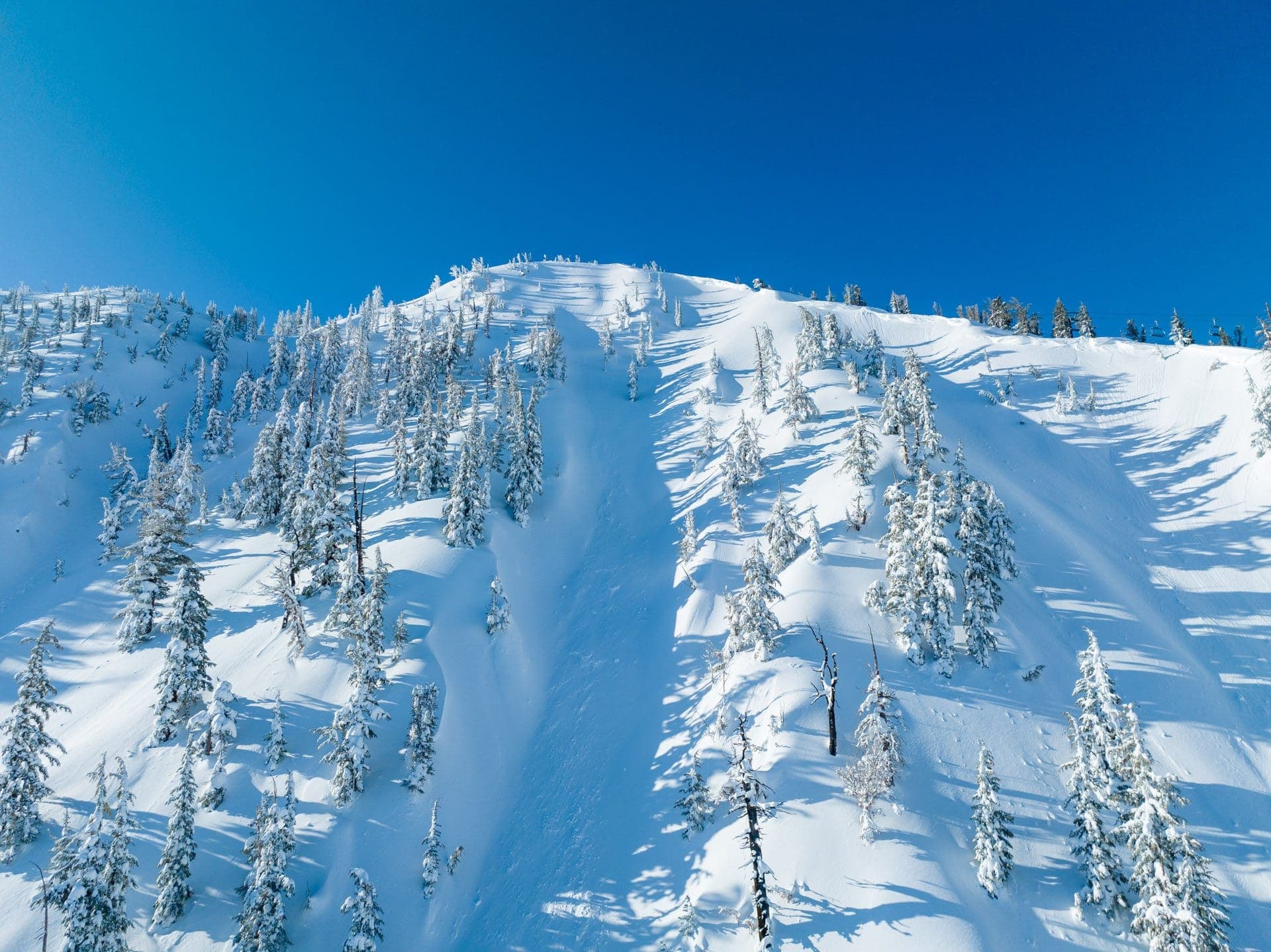 Mt. Rose photo 7