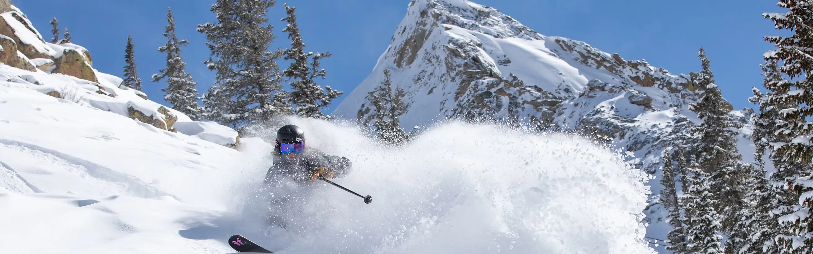 Crested Butte photo 15