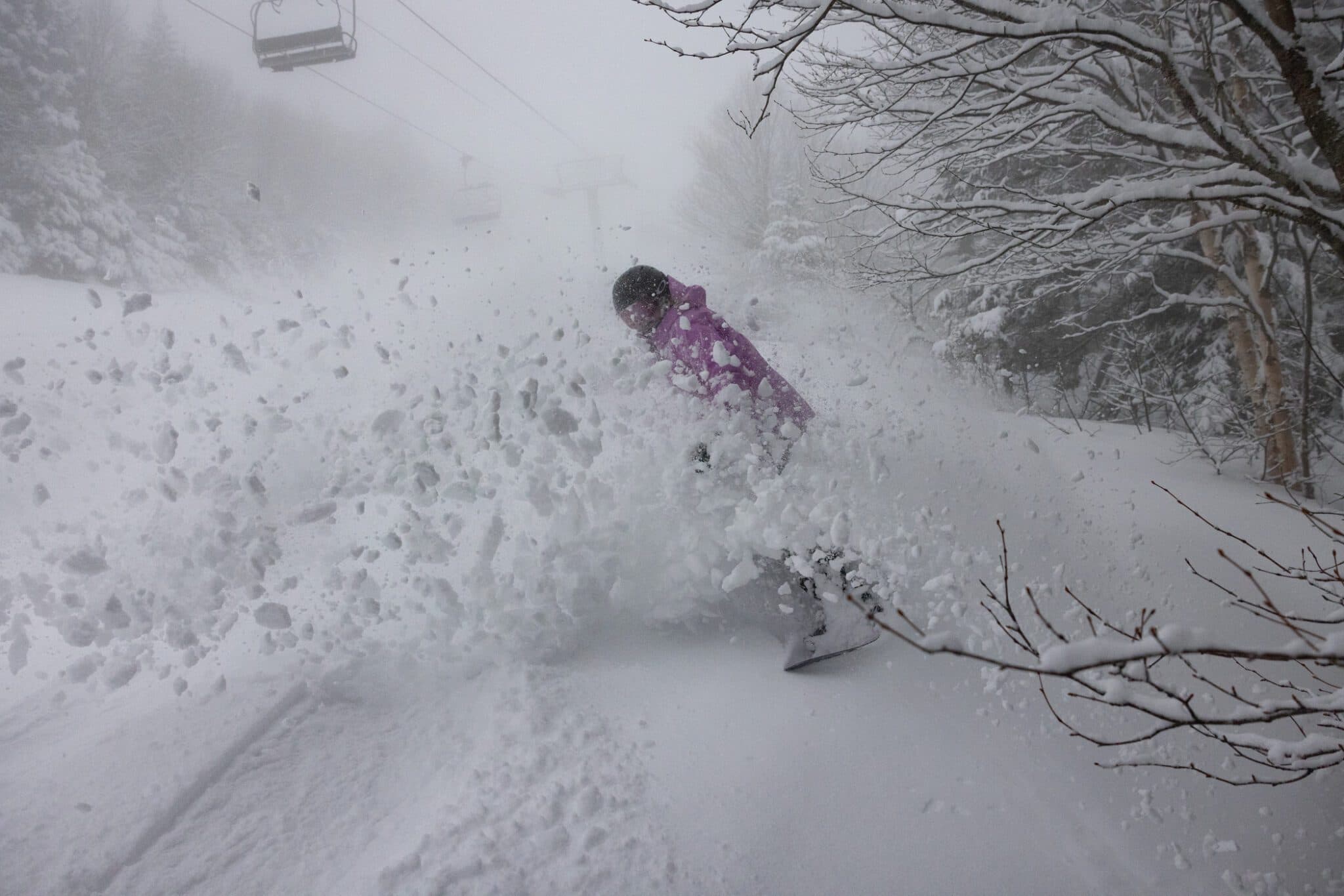 Sugarbush photo 3