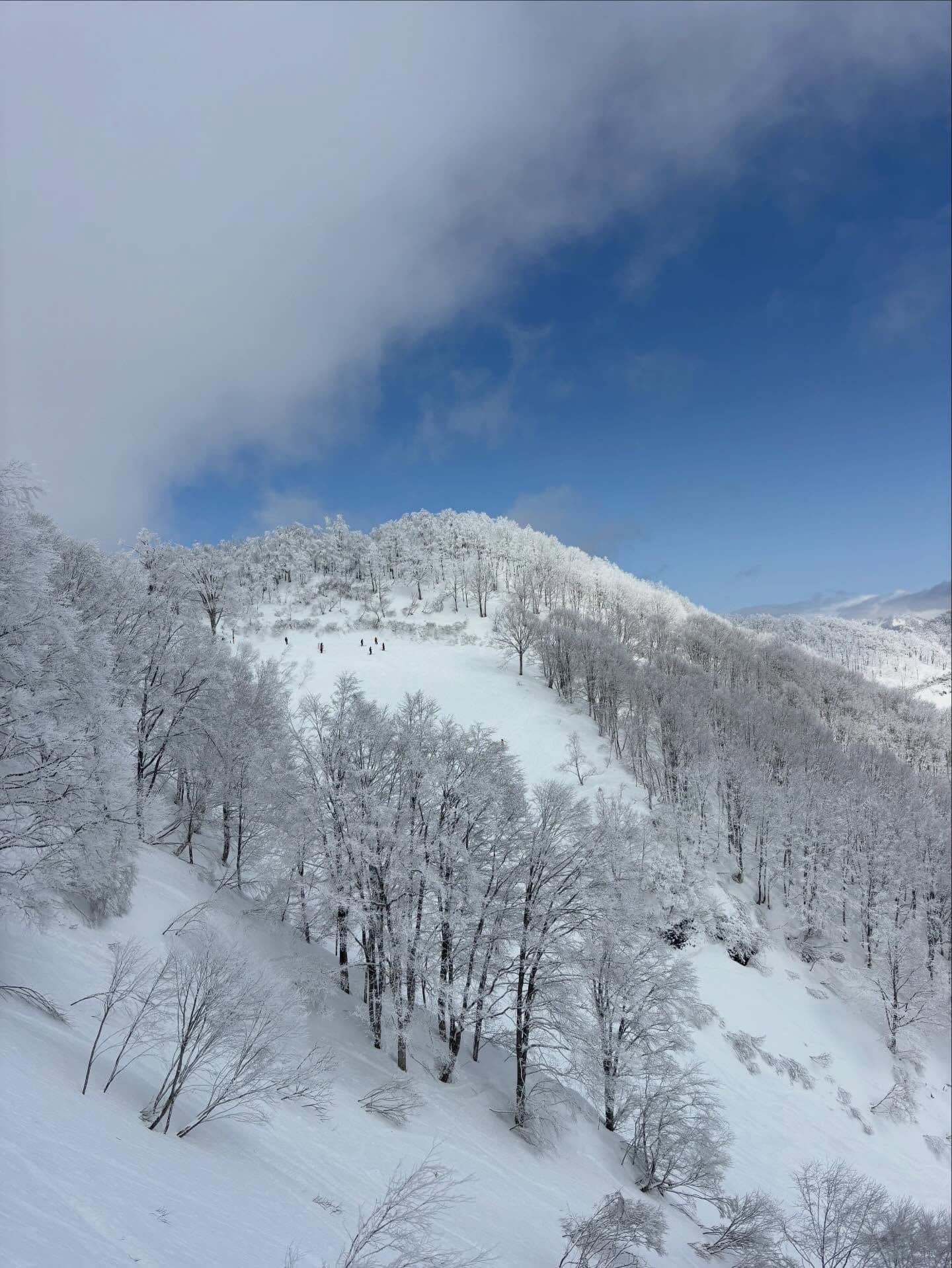 Hakuba photo 3