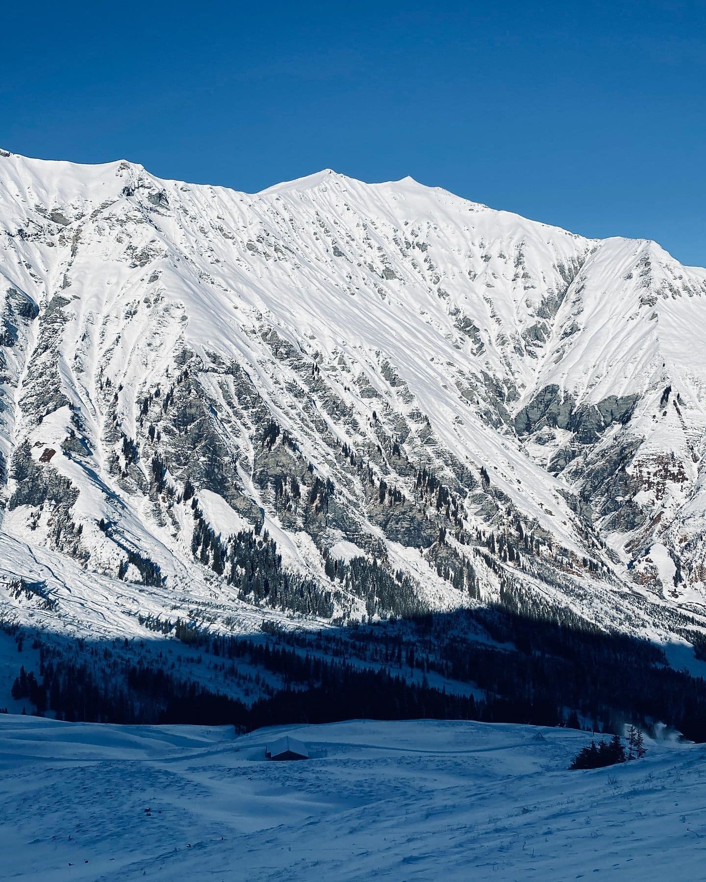 Adelboden-Lenk