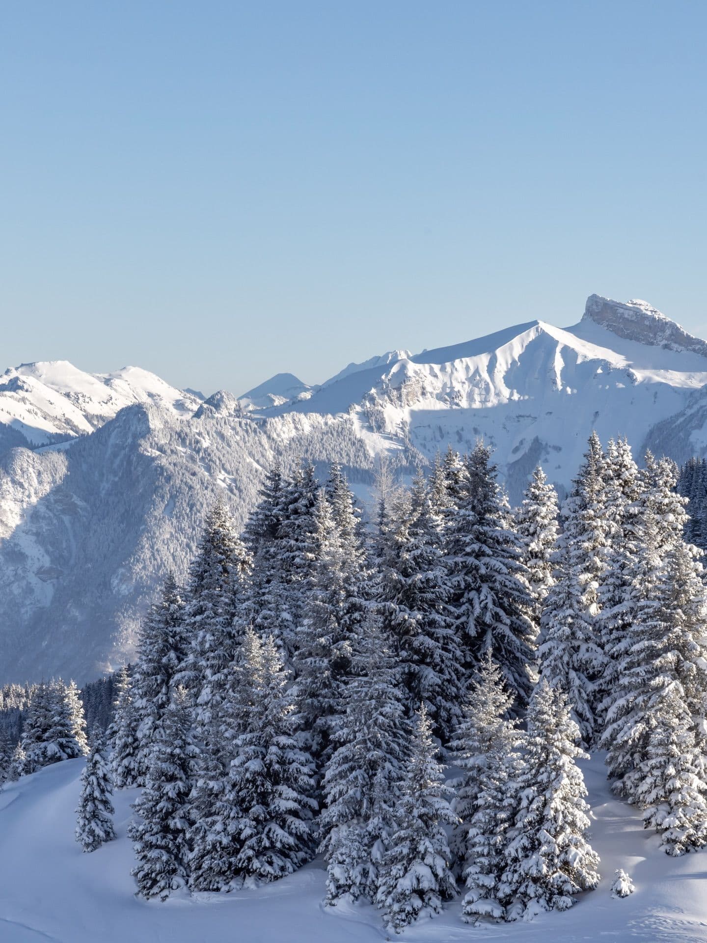 Portes du Soleil photo 6