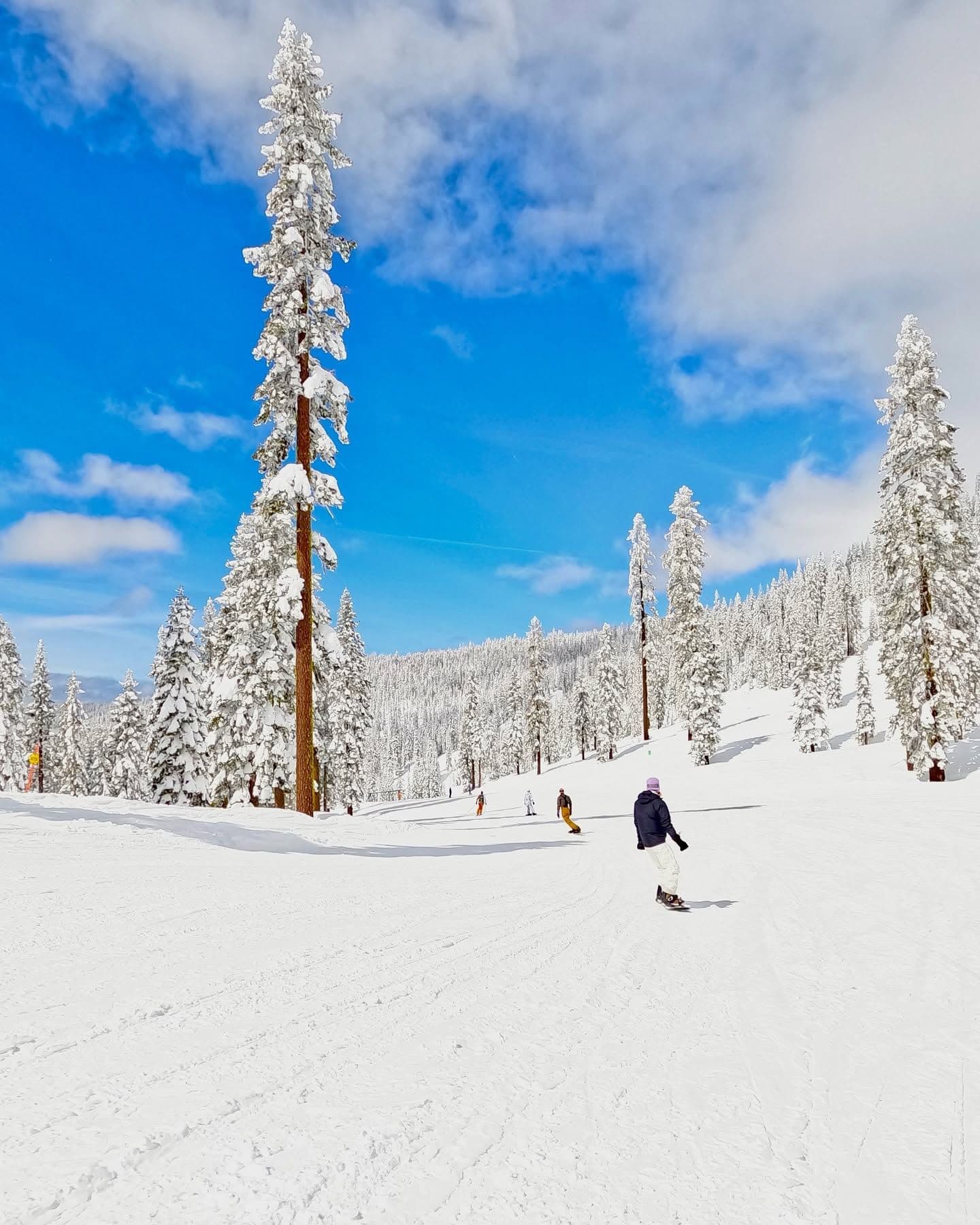 Mt Shasta Ski Park
