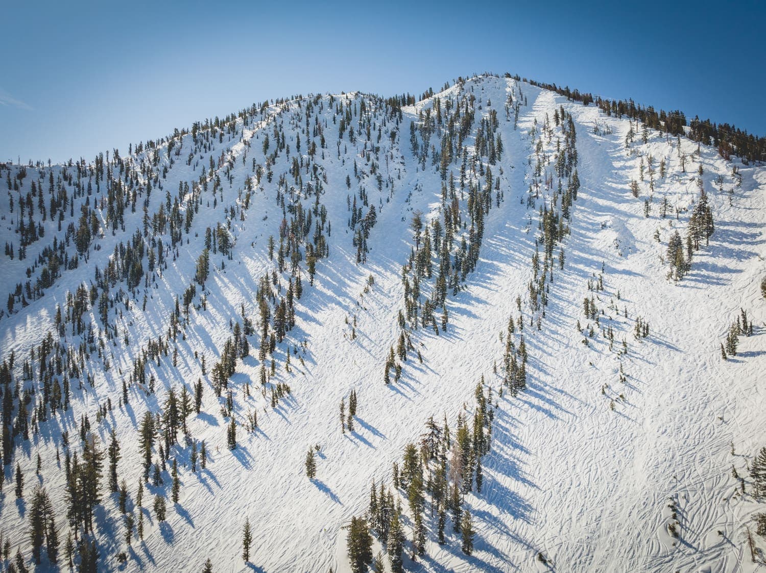 Mt. Rose photo 5