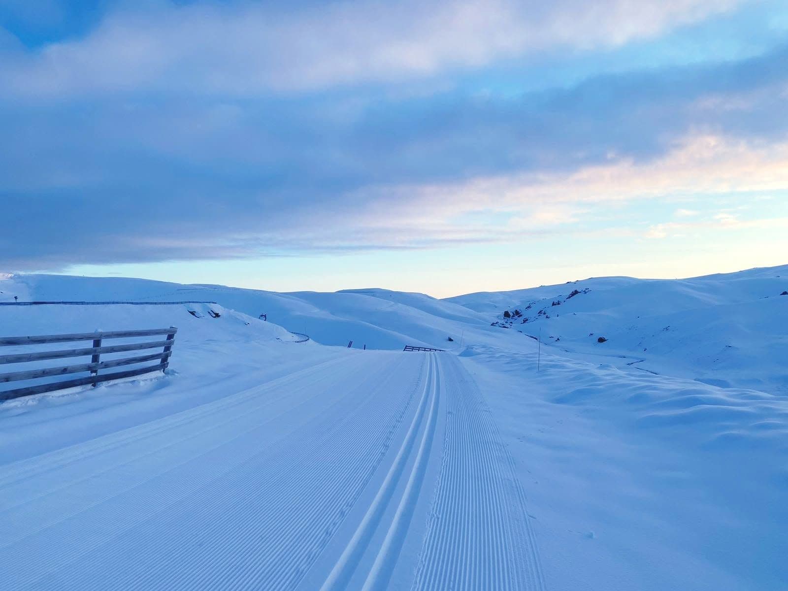 Snow Farm