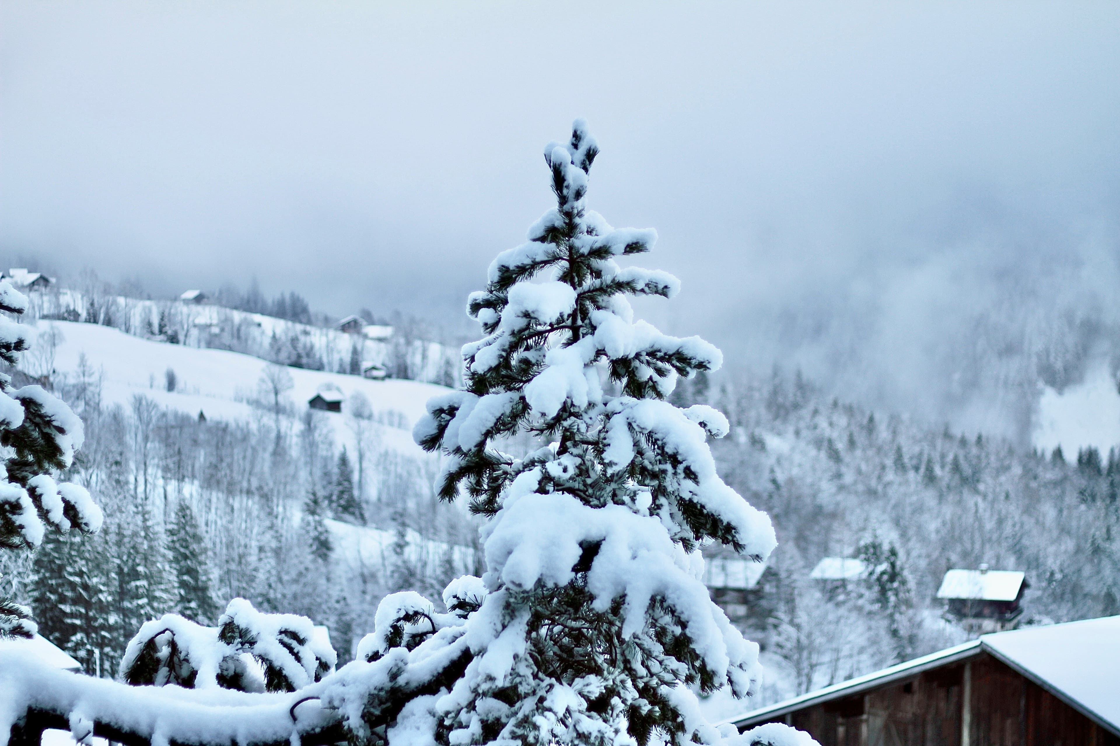 Grindelwald photo 5