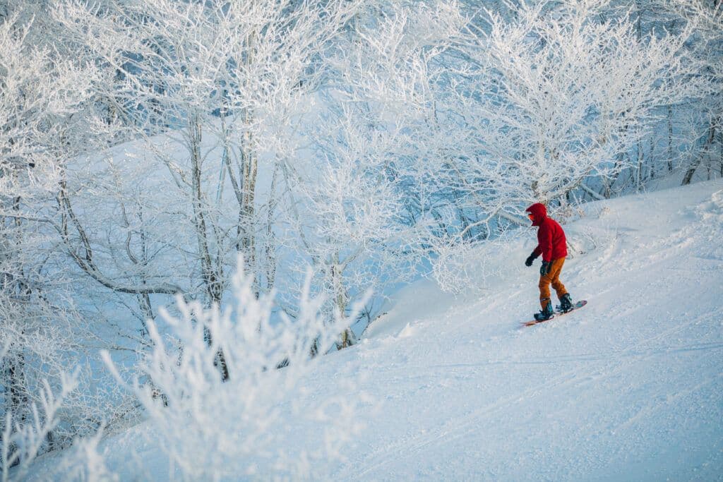 Beech Mountain photo 3