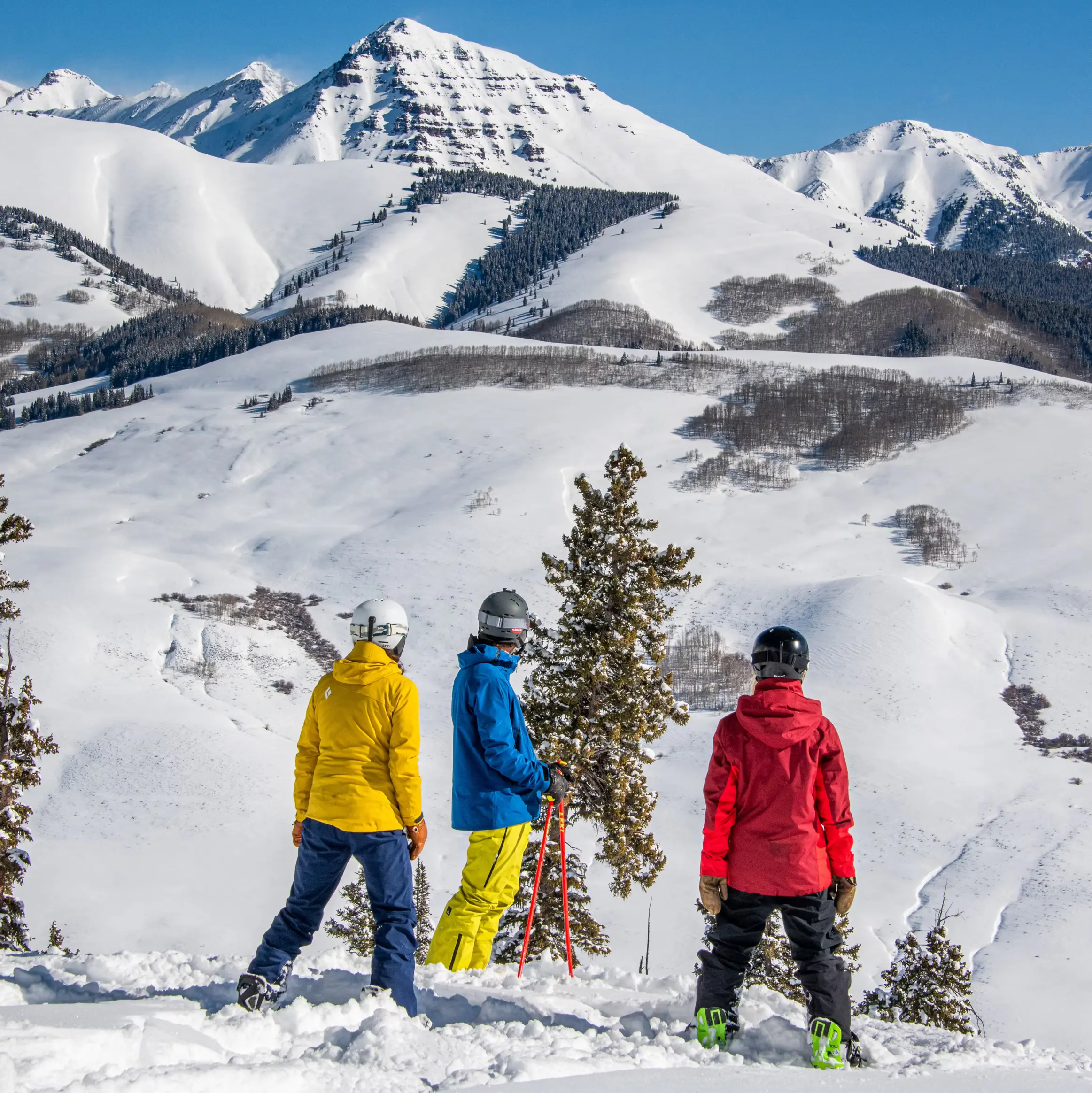 Crested Butte photo 13