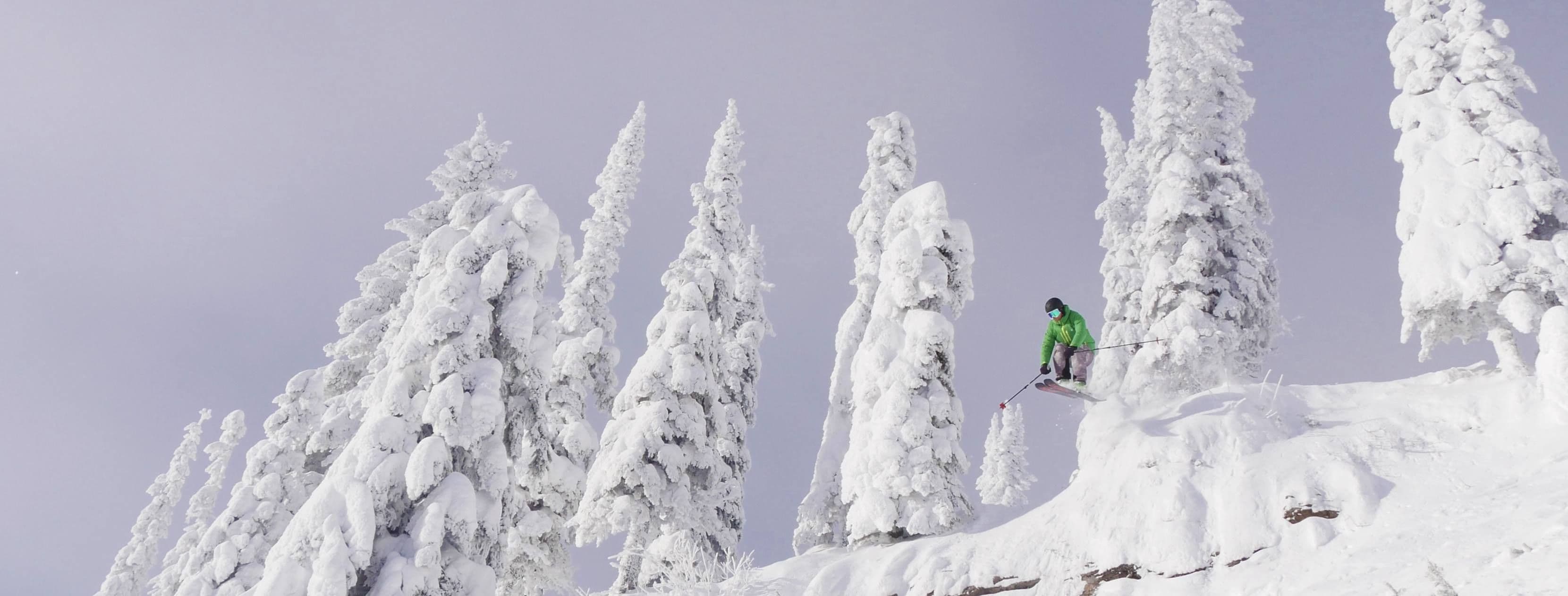 SilverStar photo 4