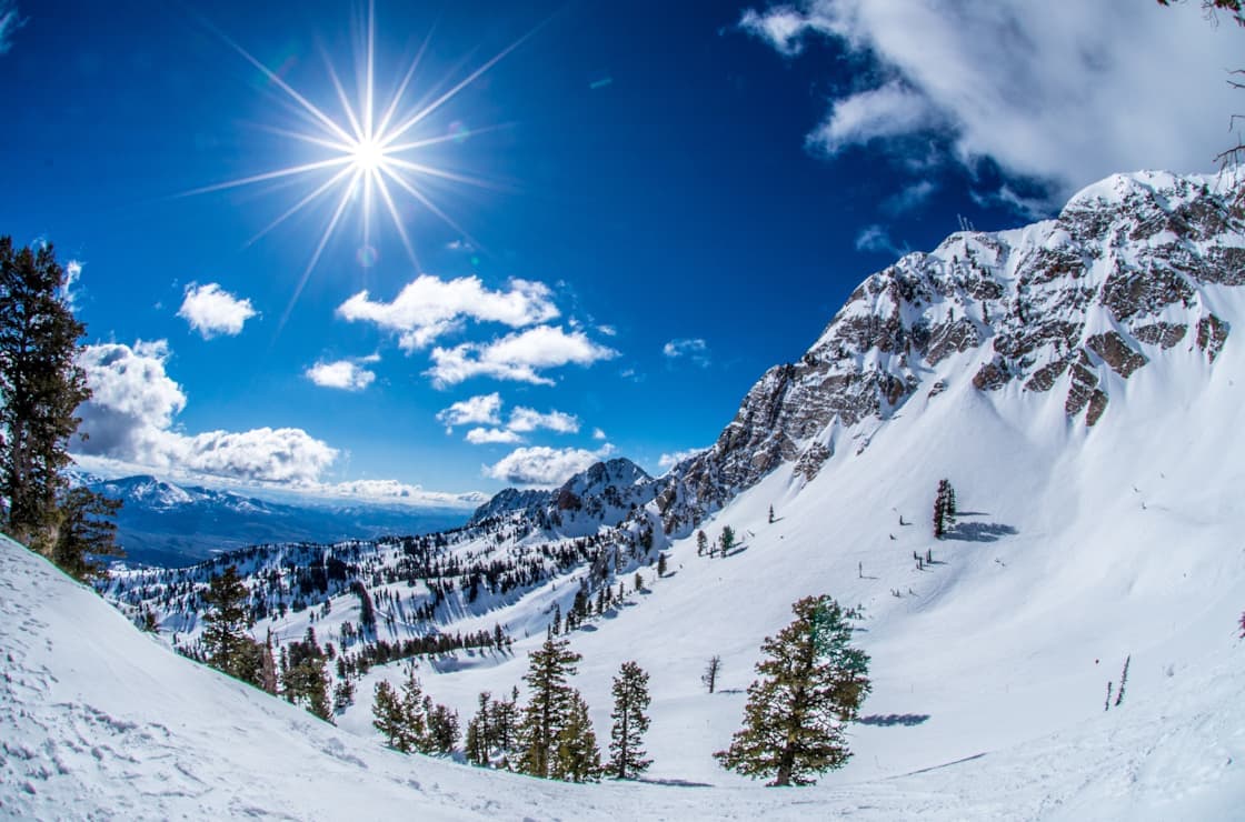 Snowbasin photo 8