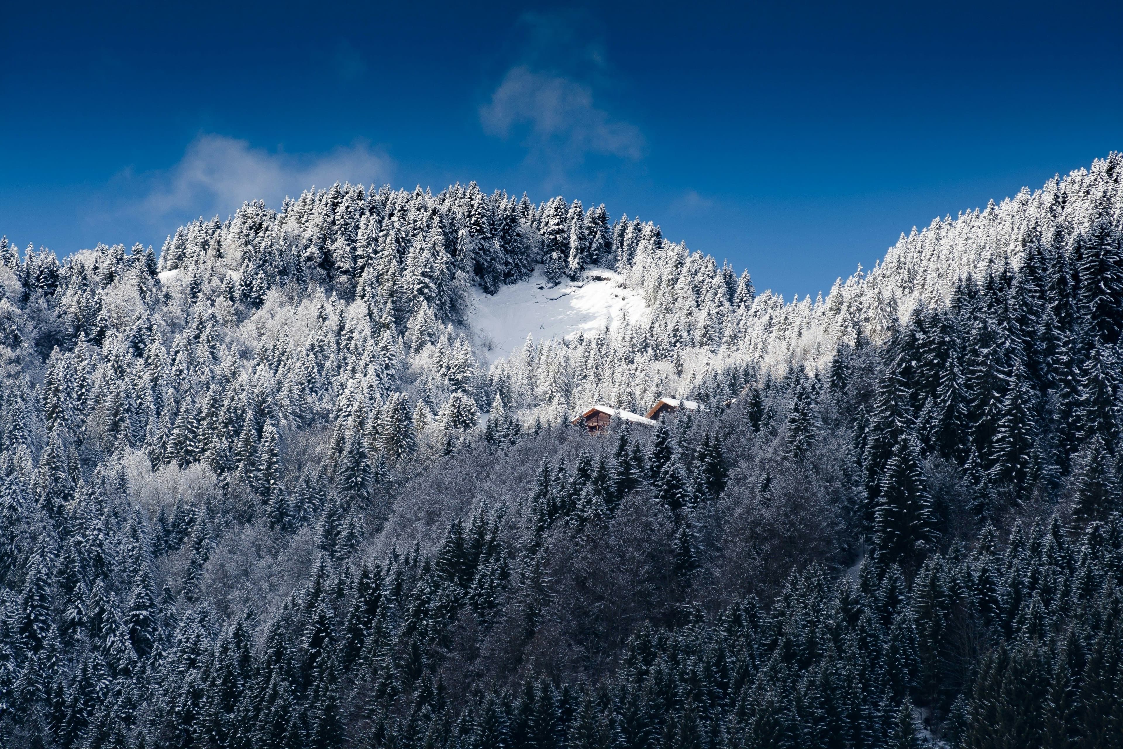 La Clusaz photo 4