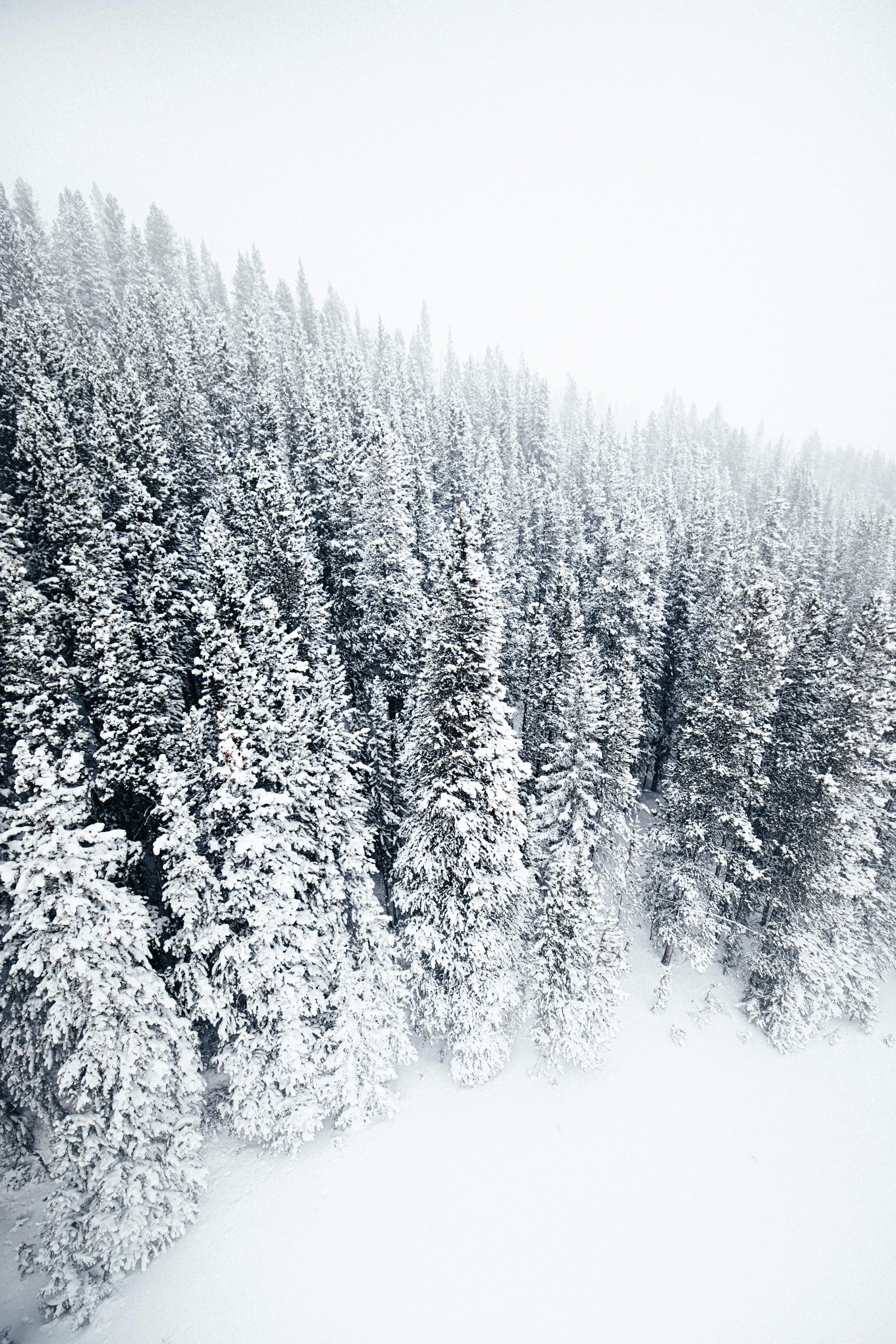 Breckenridge photo 5