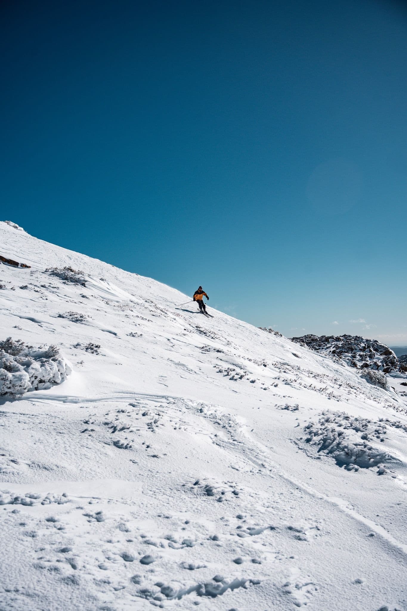 Ben Lomond Alpine Resort photo 5