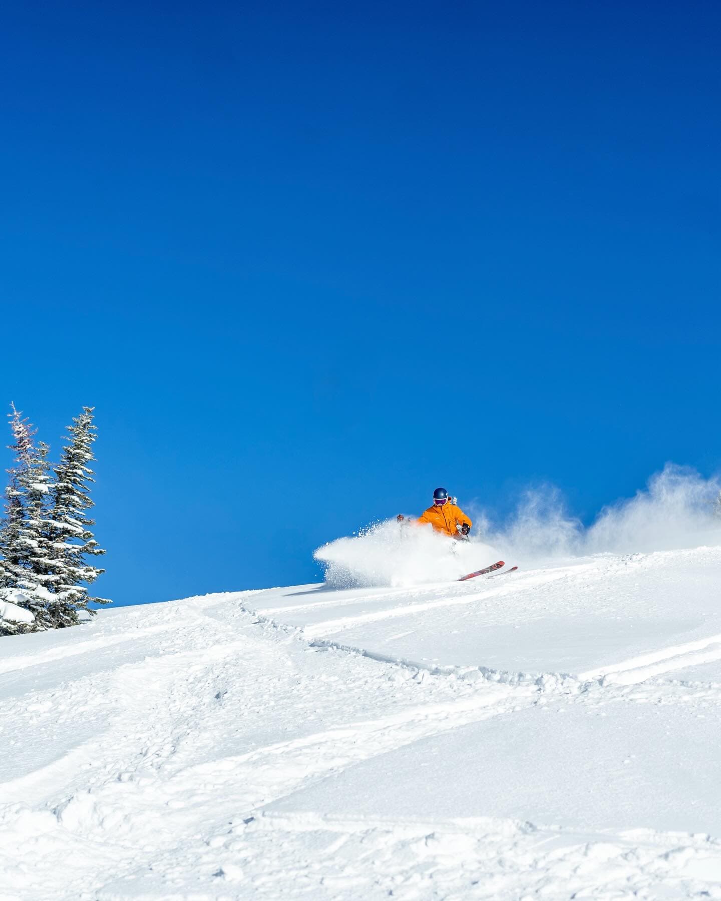 SilverStar photo 9