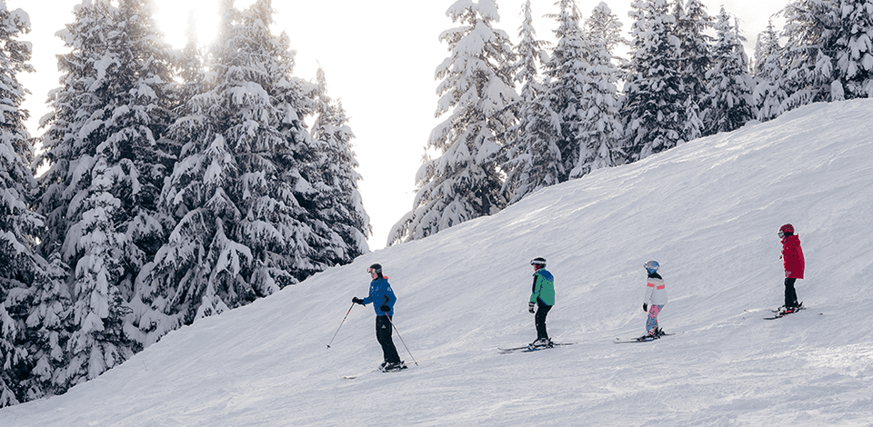 Grouse Mountain photo 3