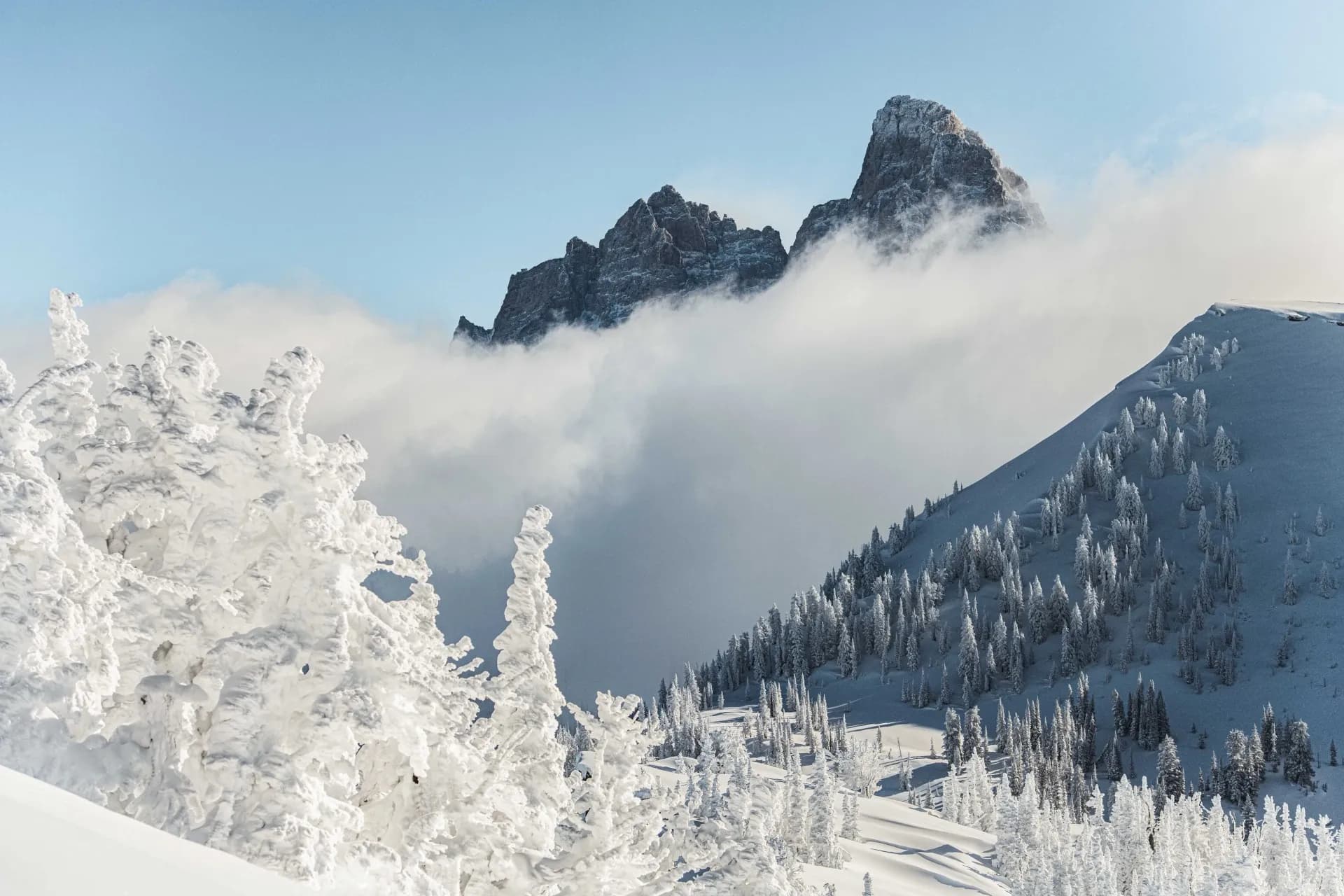 Grand Targhee Resort photo 6