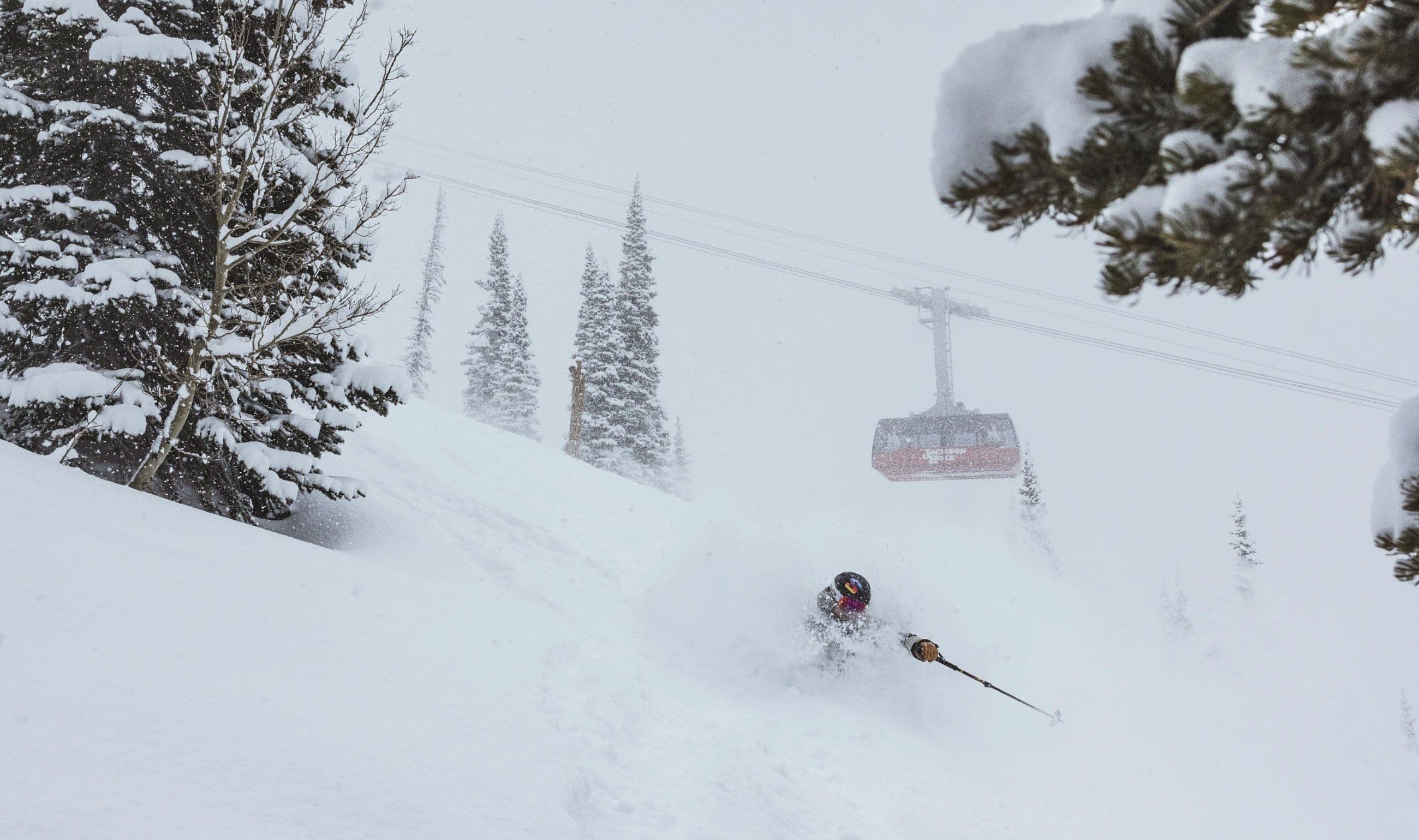 Jackson Hole Mountain Resort photo 8