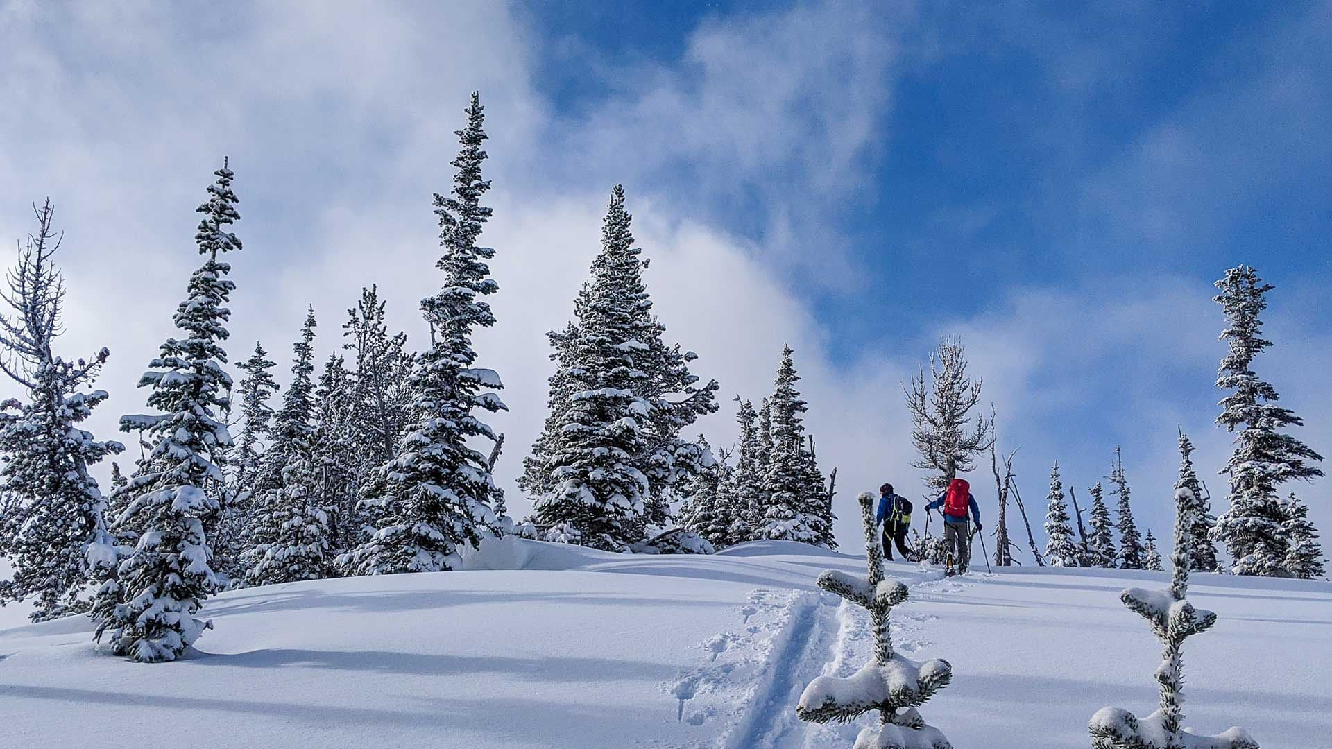 Crystal Mountain WA photo 8