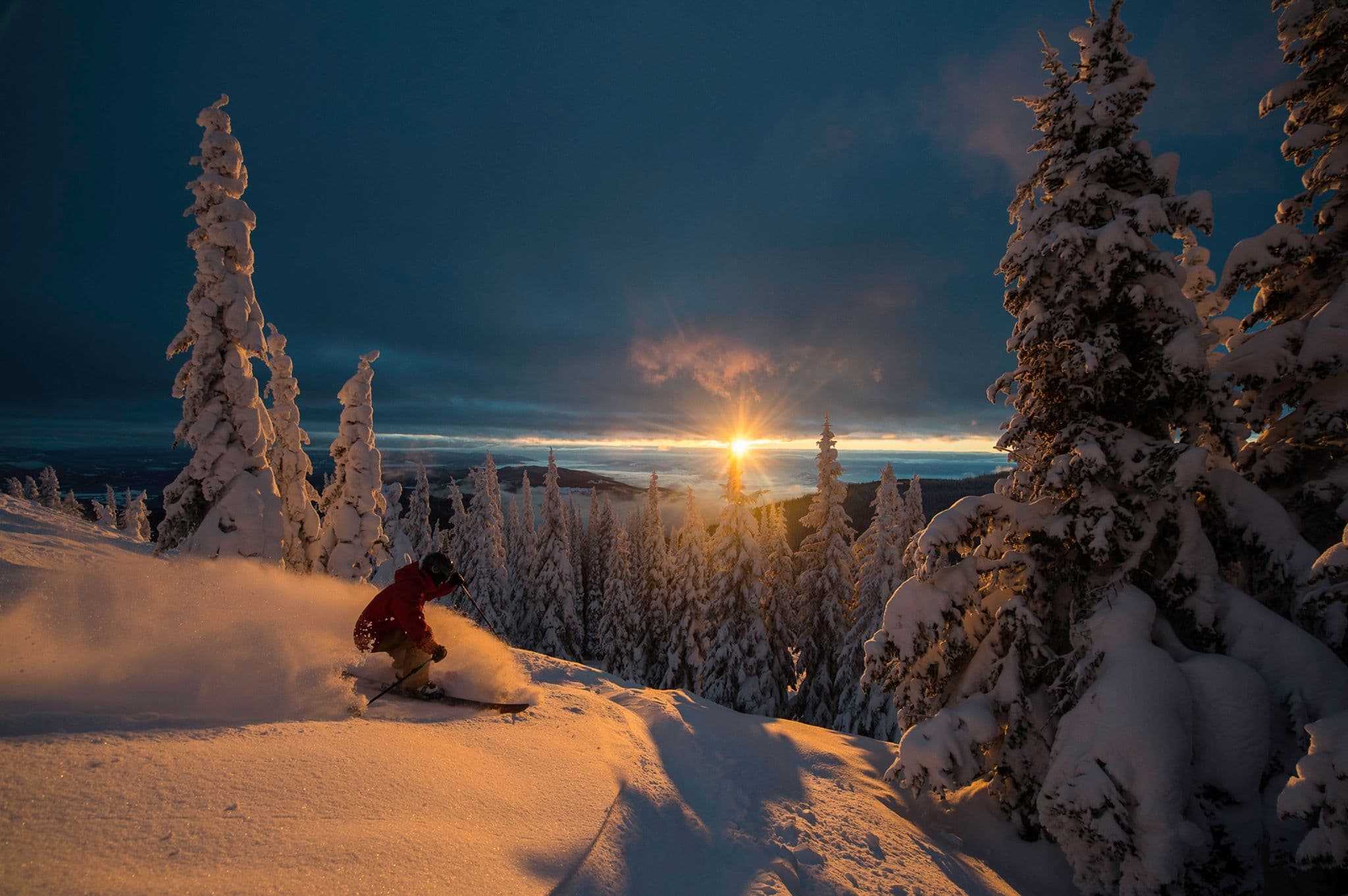 SilverStar photo 8