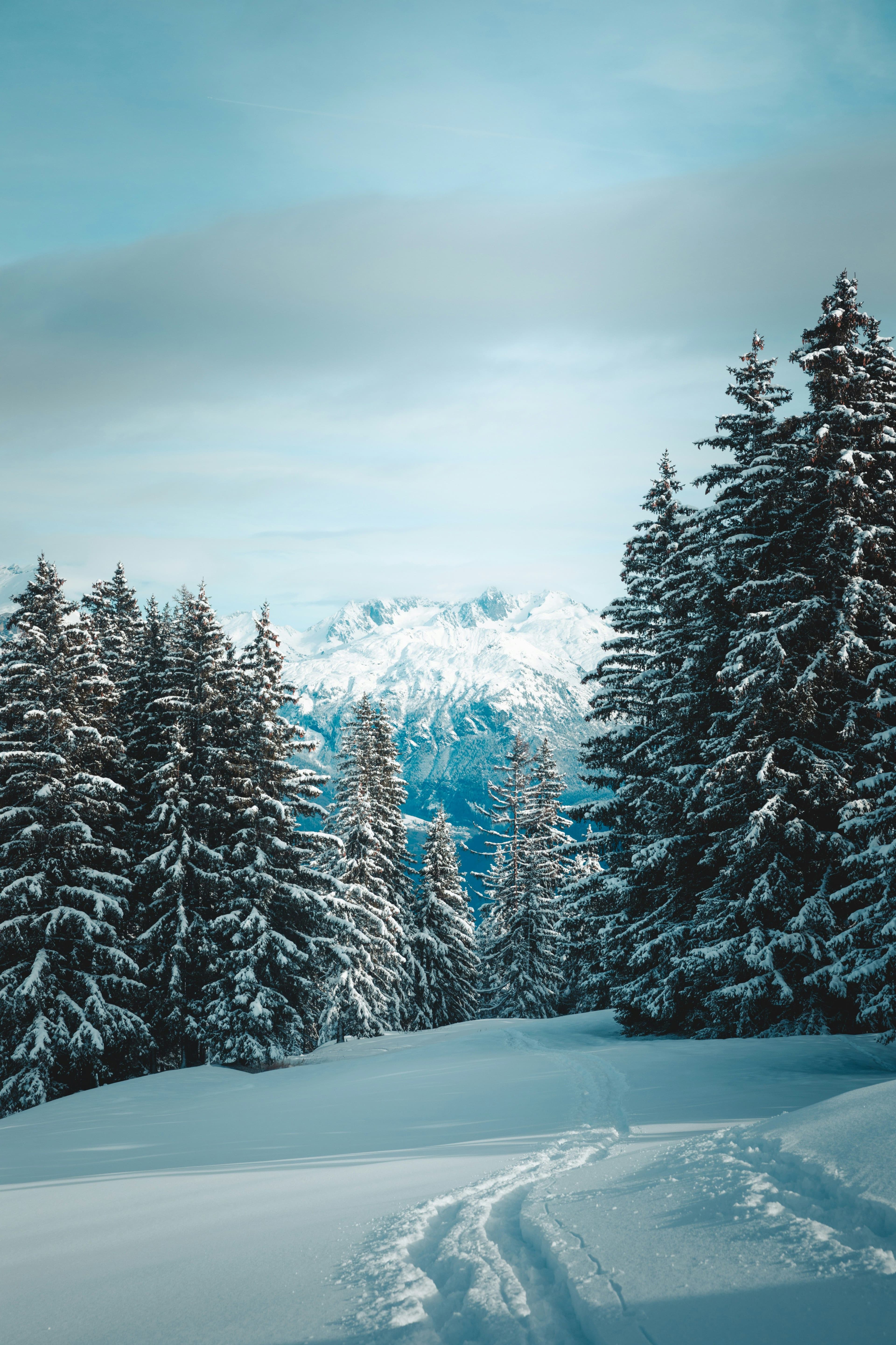 Megève photo 10
