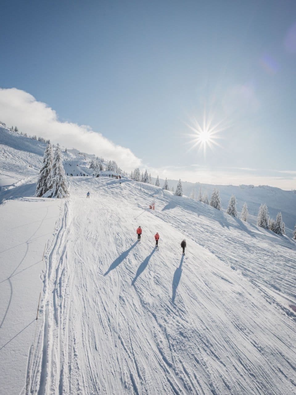 Portes du Soleil photo 9